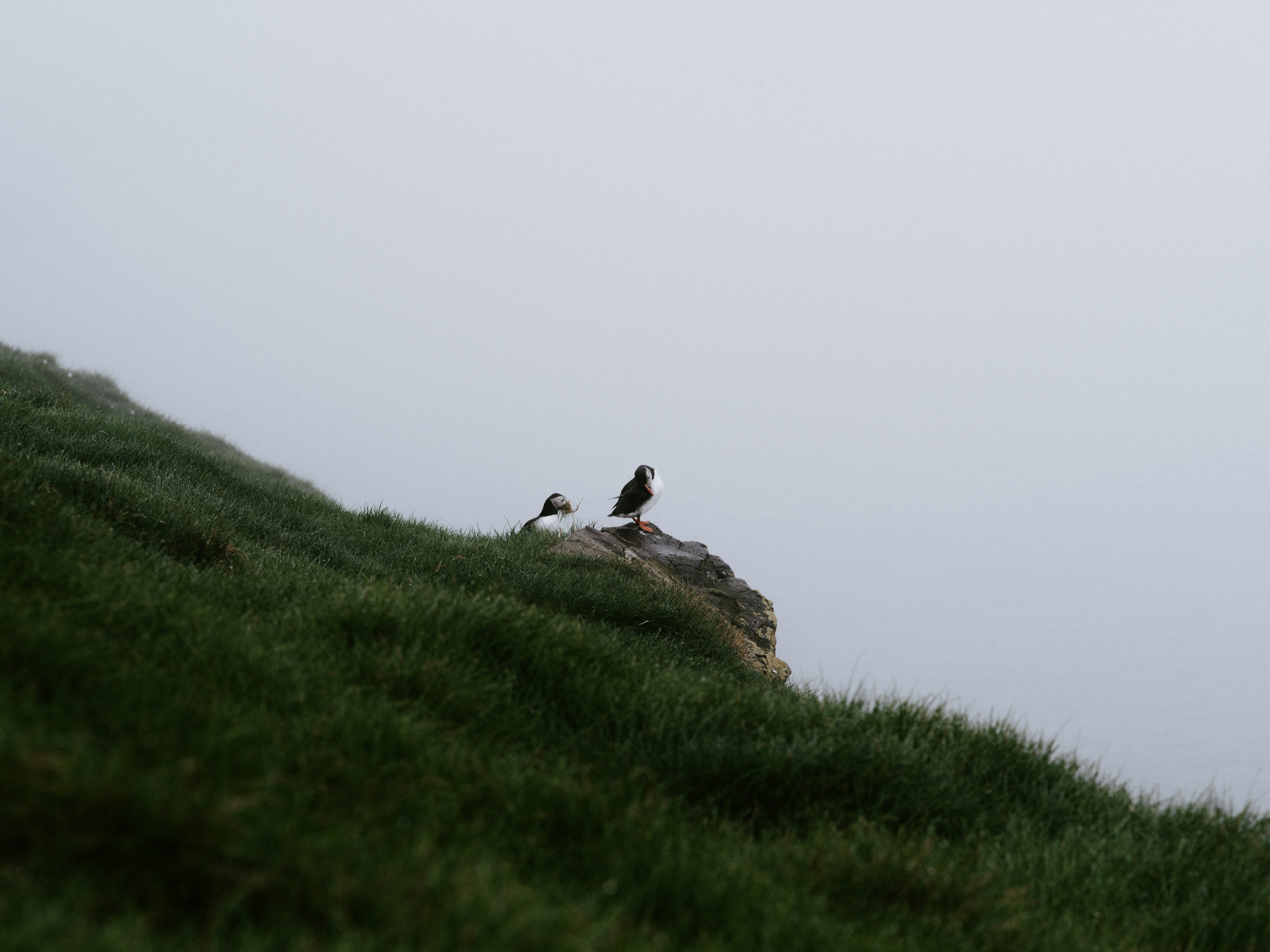 Photo by anniespratt