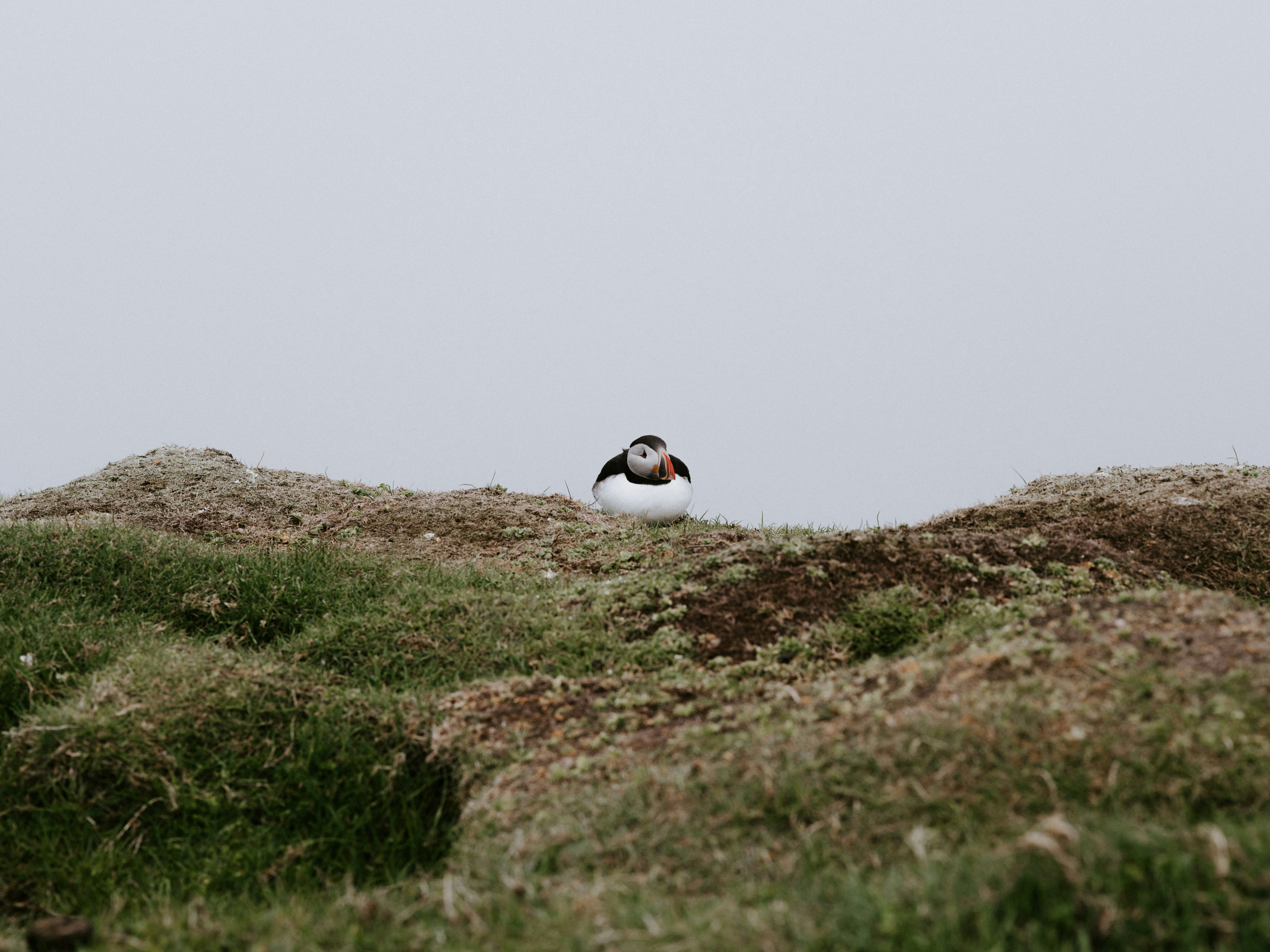 Photo by anniespratt