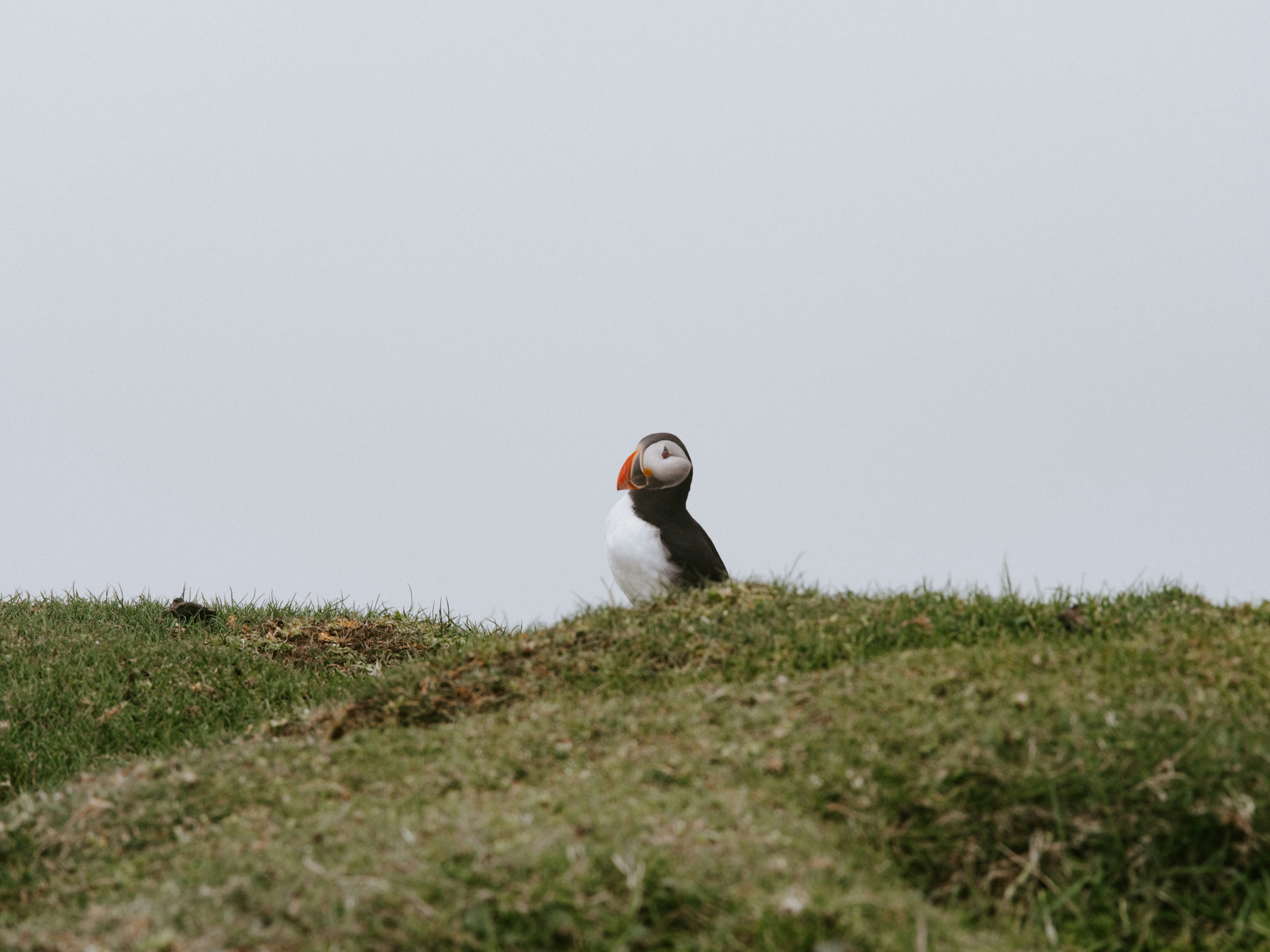 Photo by anniespratt