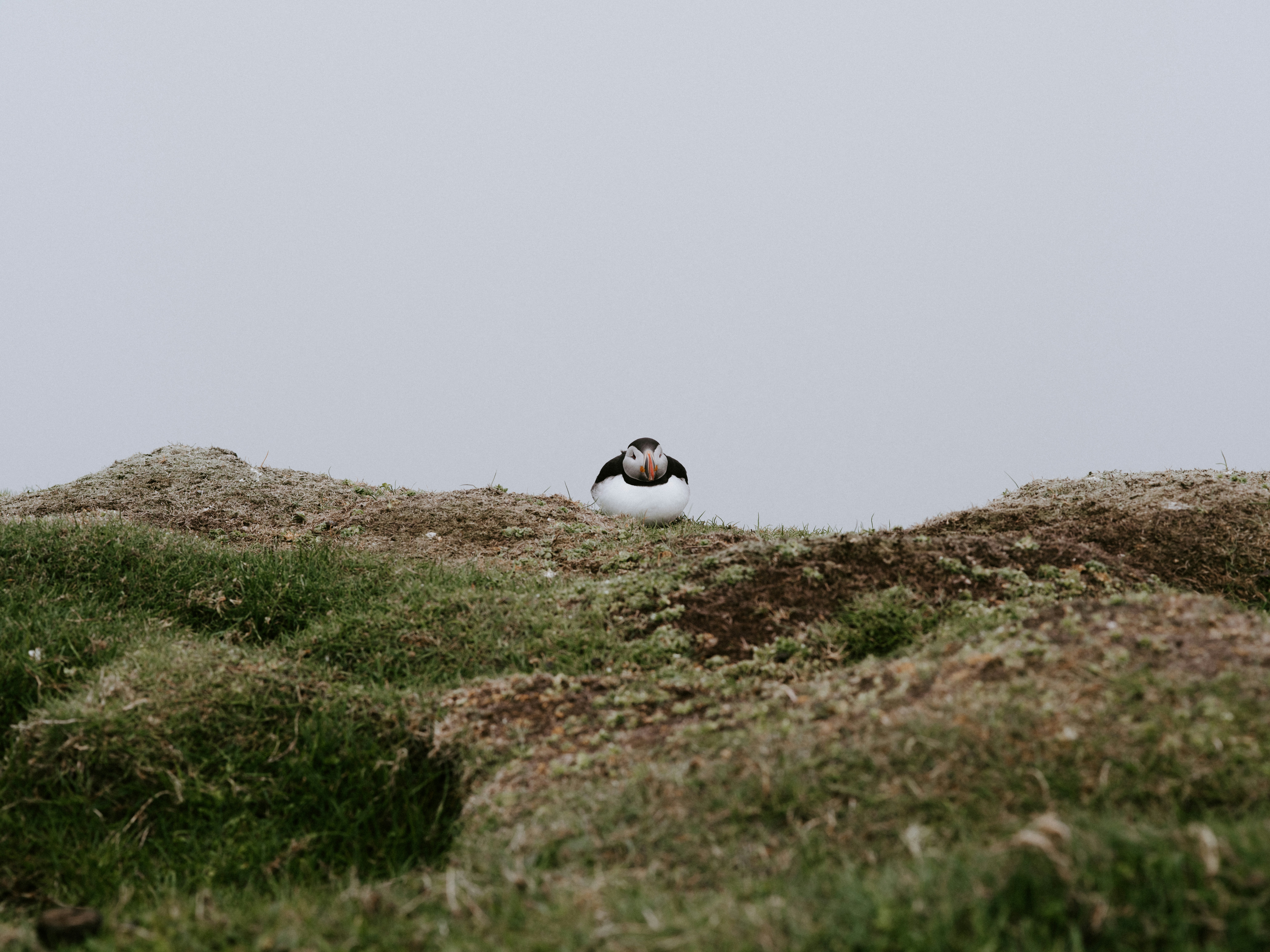 Photo by anniespratt