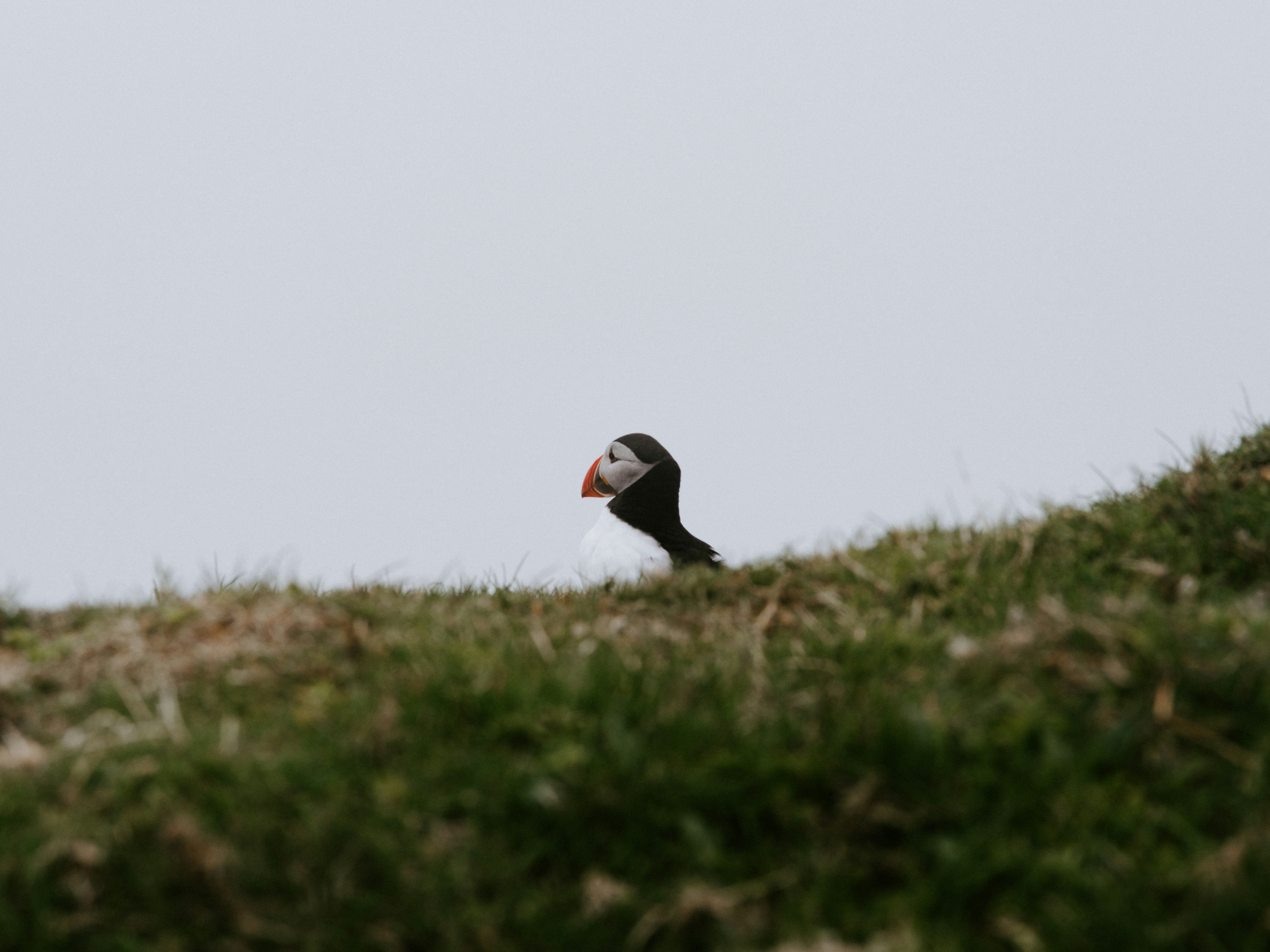 Photo by anniespratt