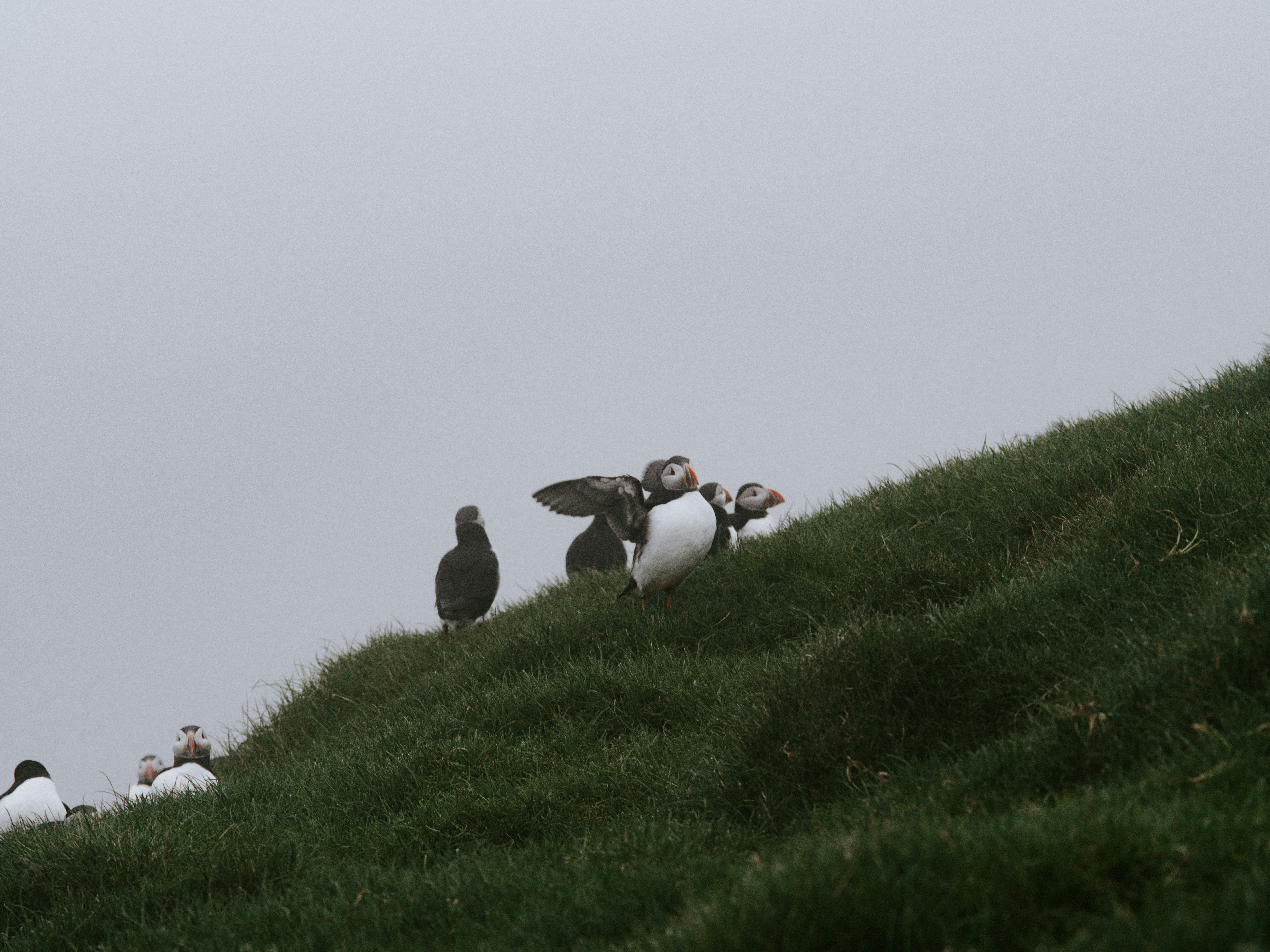 Photo by anniespratt