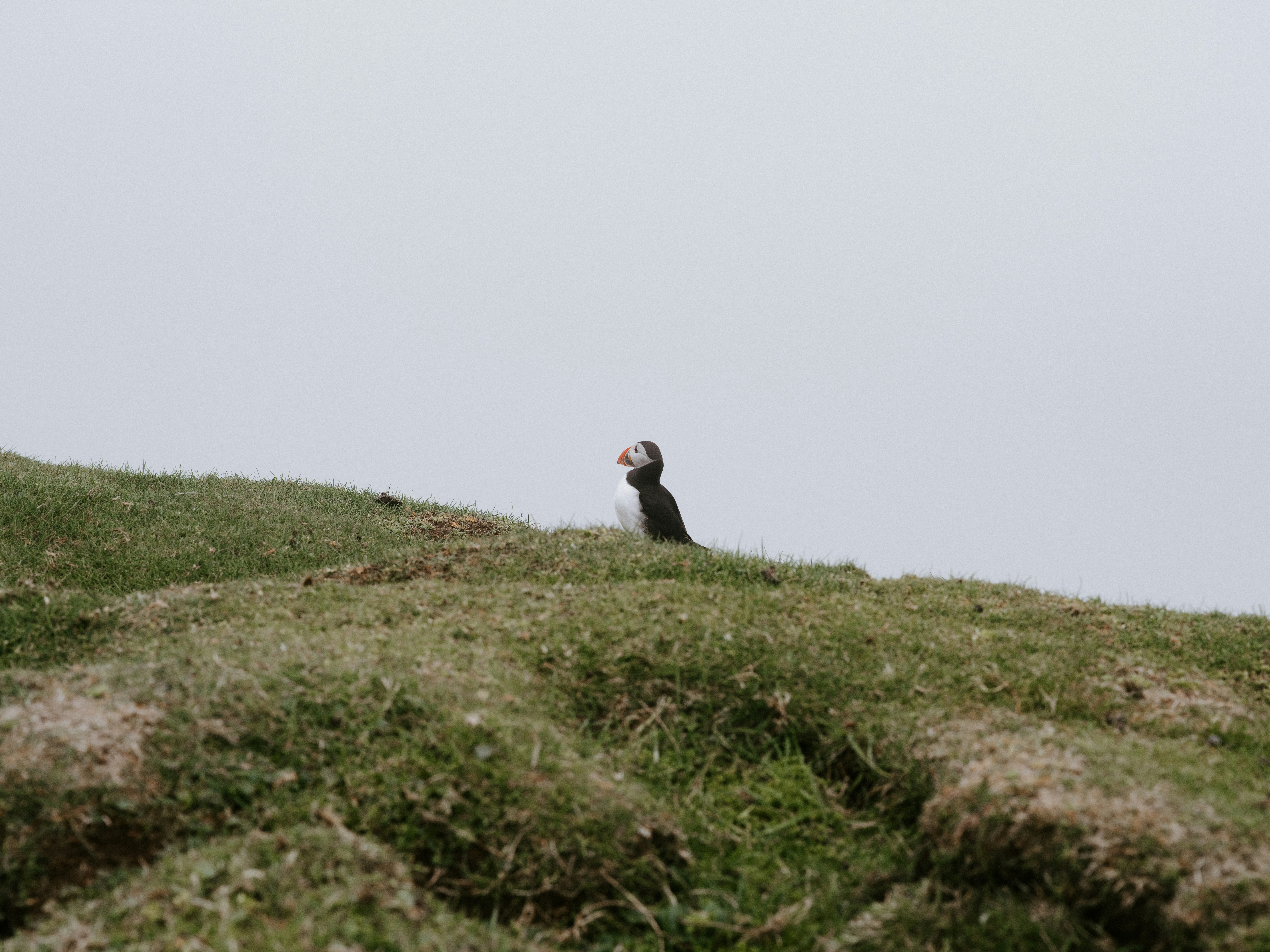 Photo by anniespratt