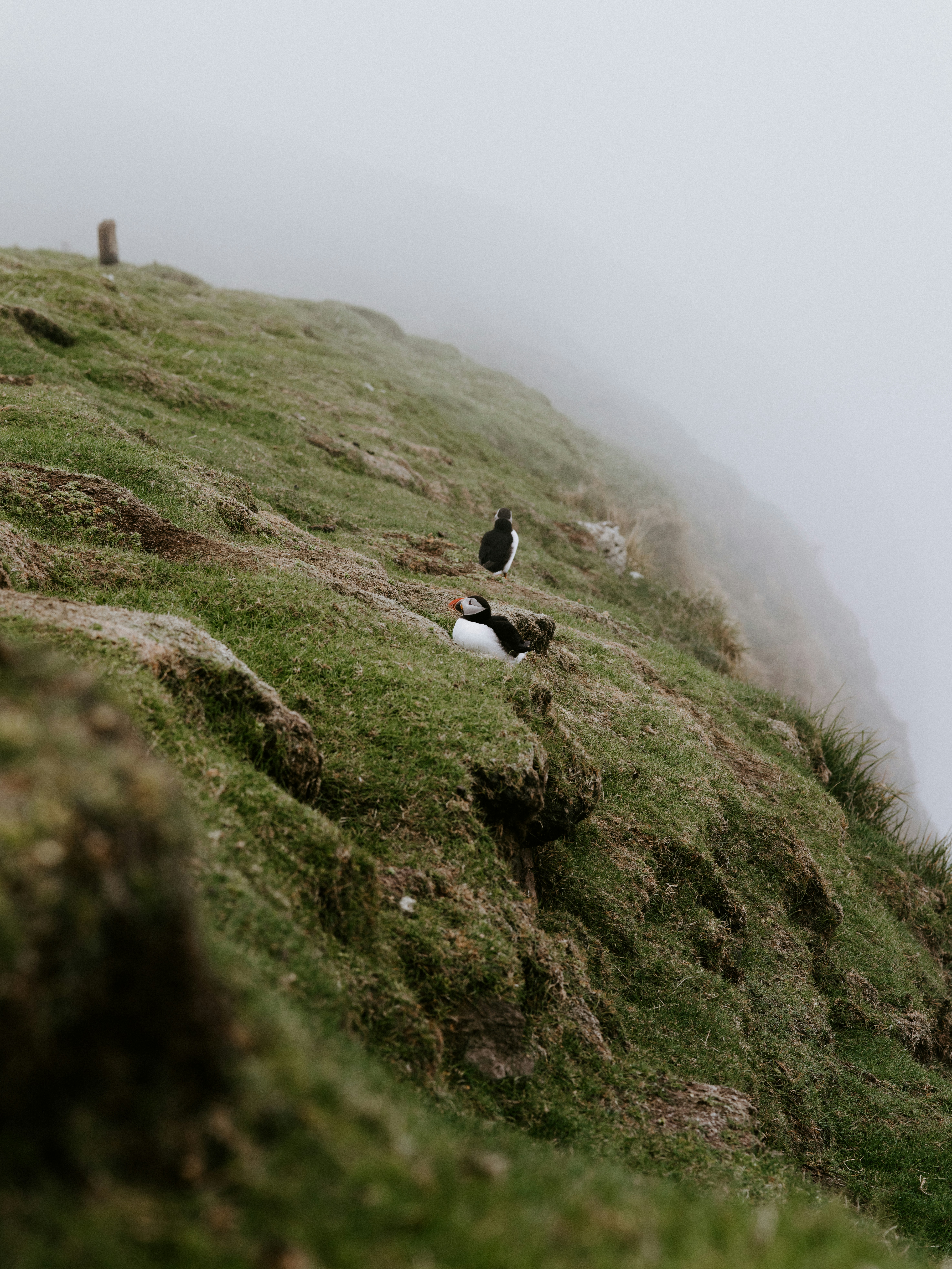 Photo by anniespratt