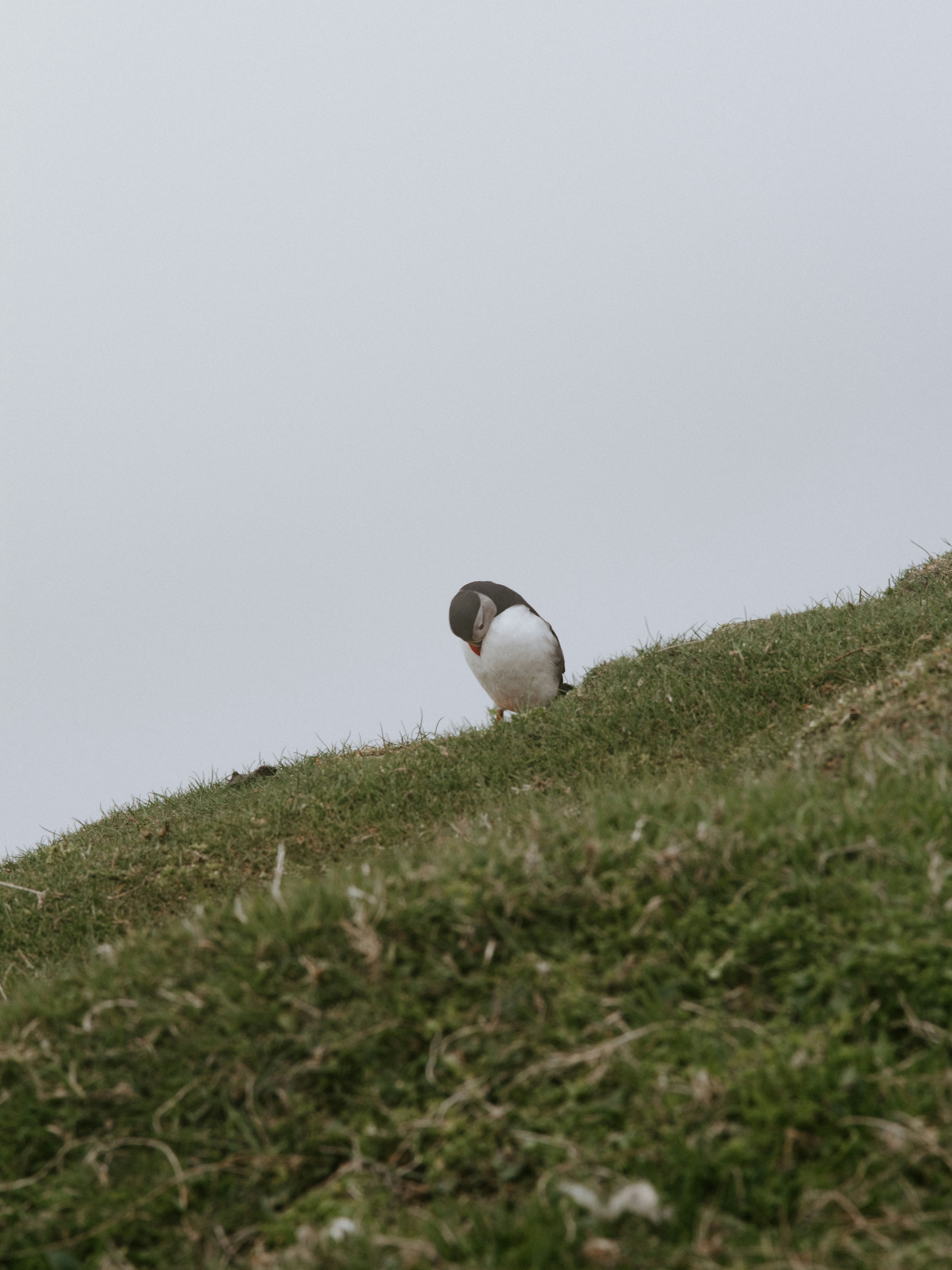 Photo by anniespratt