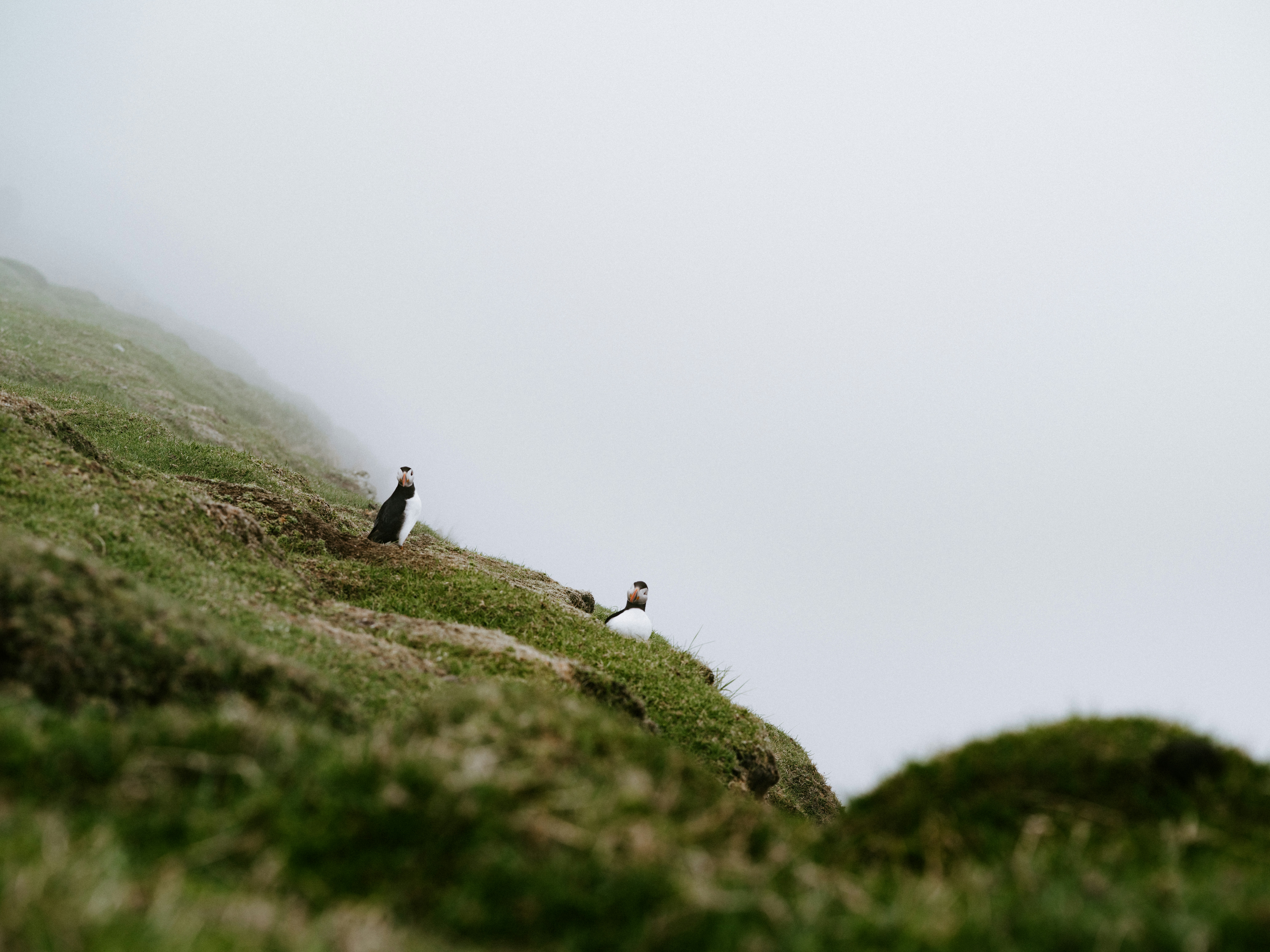 Photo by anniespratt