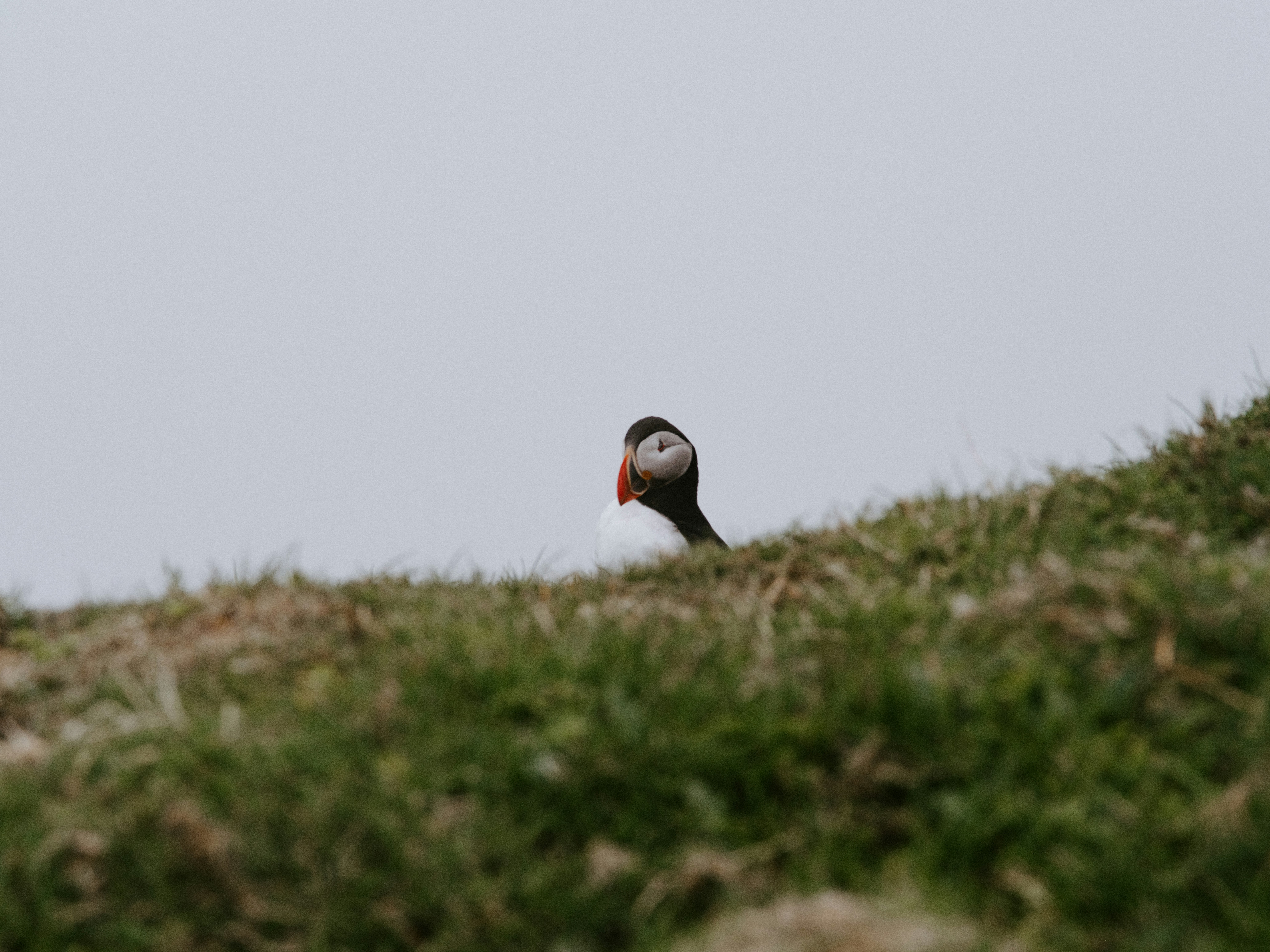 Photo by anniespratt