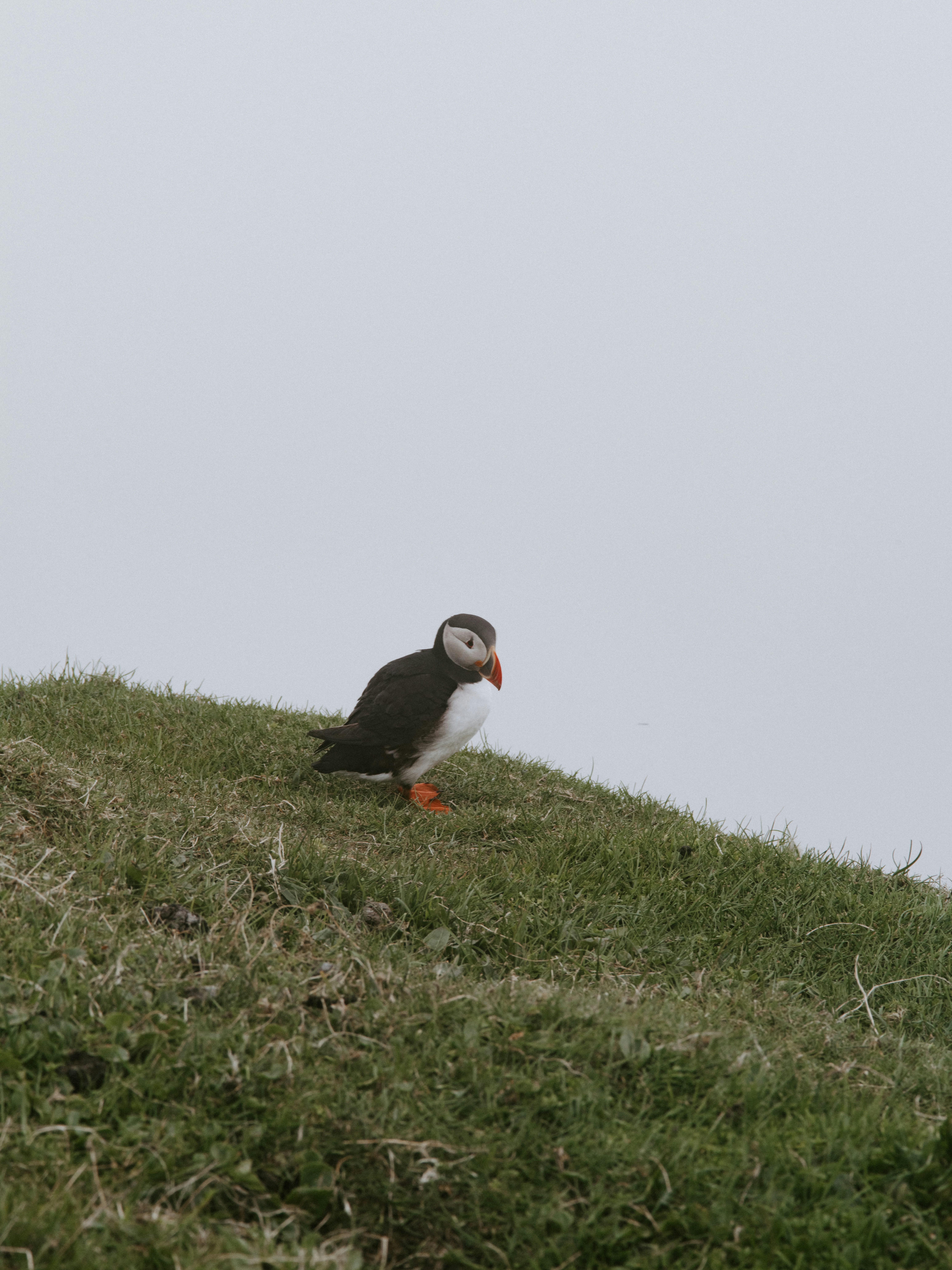 Photo by anniespratt