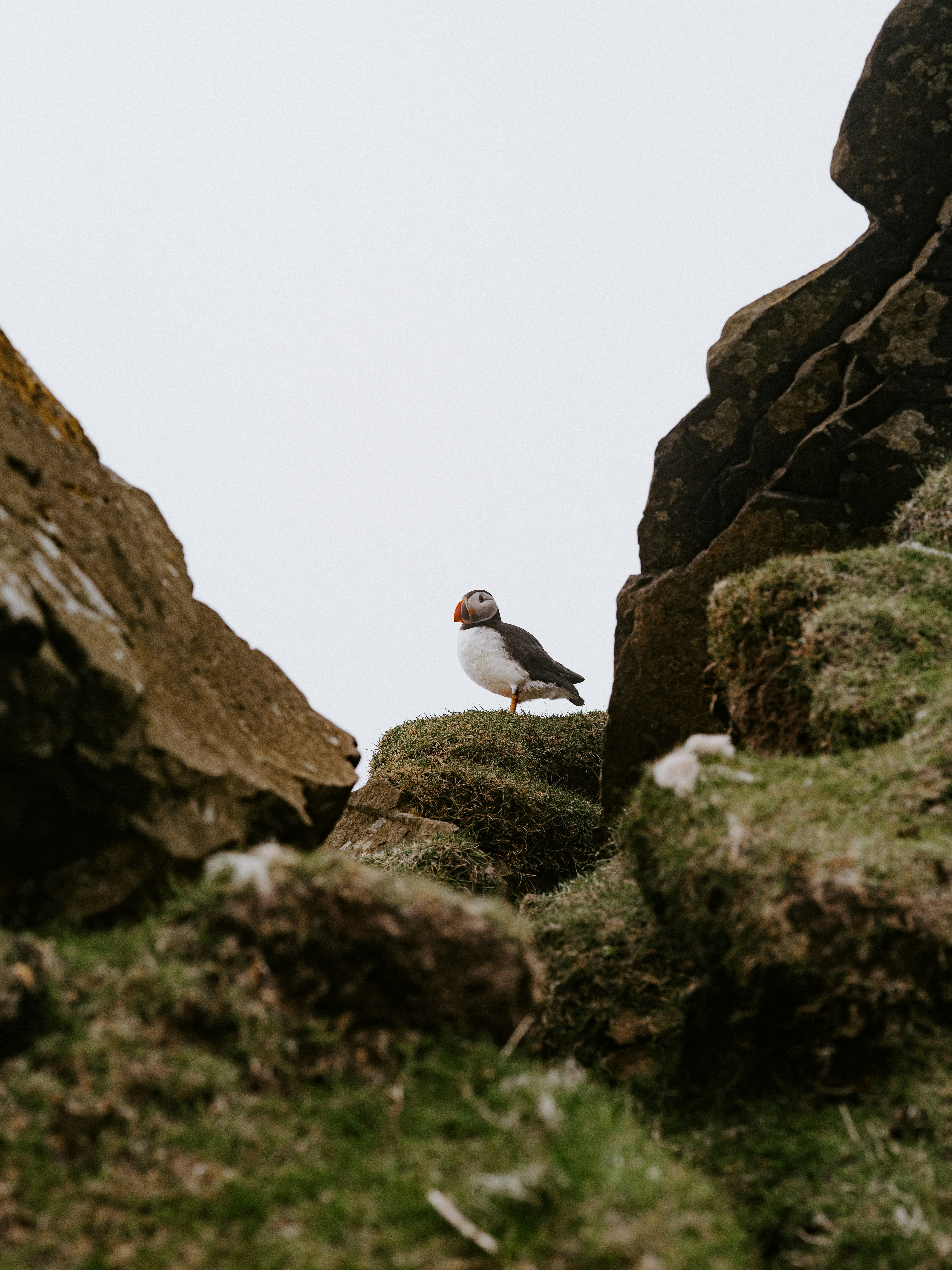 Photo by anniespratt