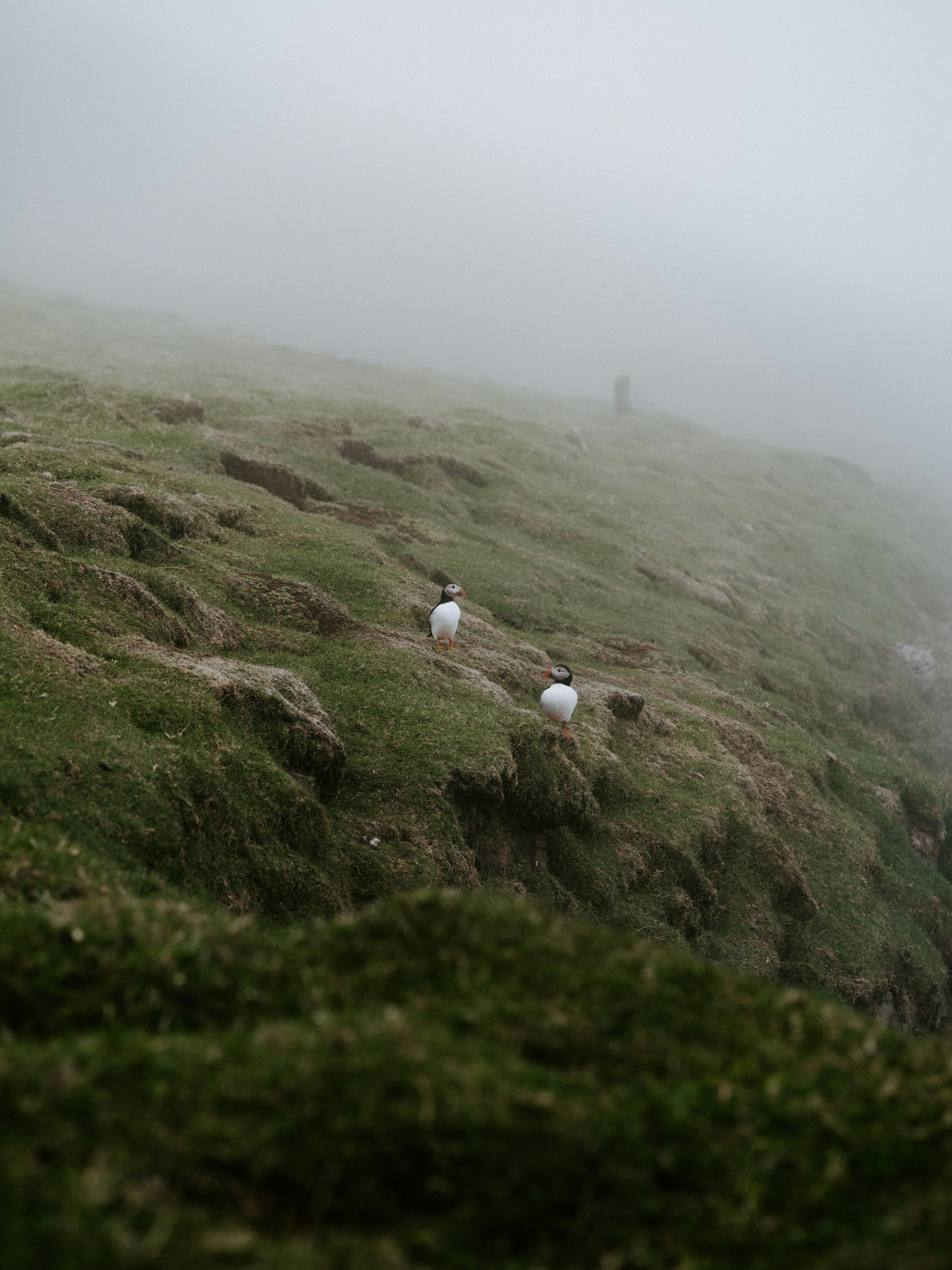 Photo by anniespratt