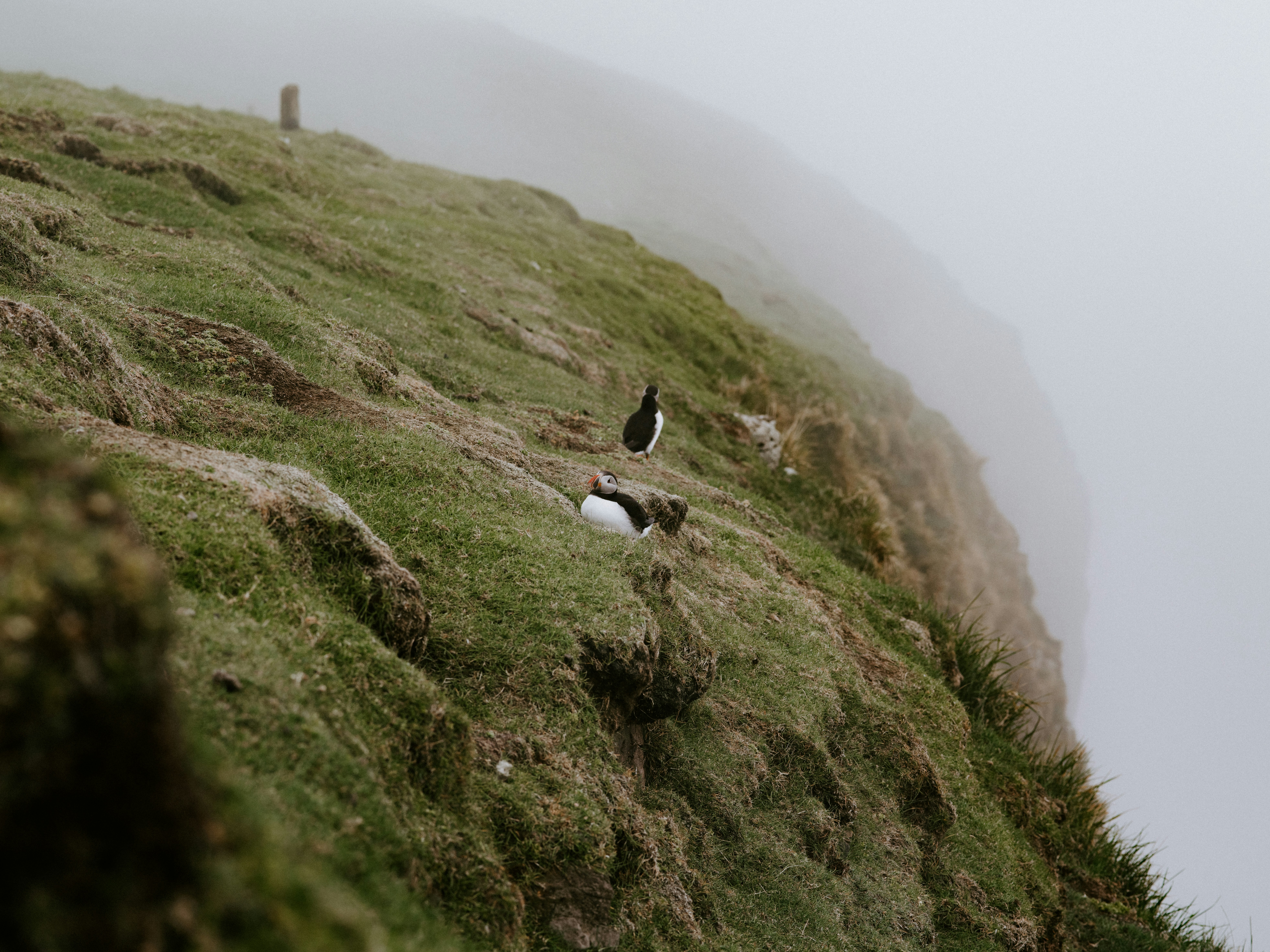 Photo by anniespratt