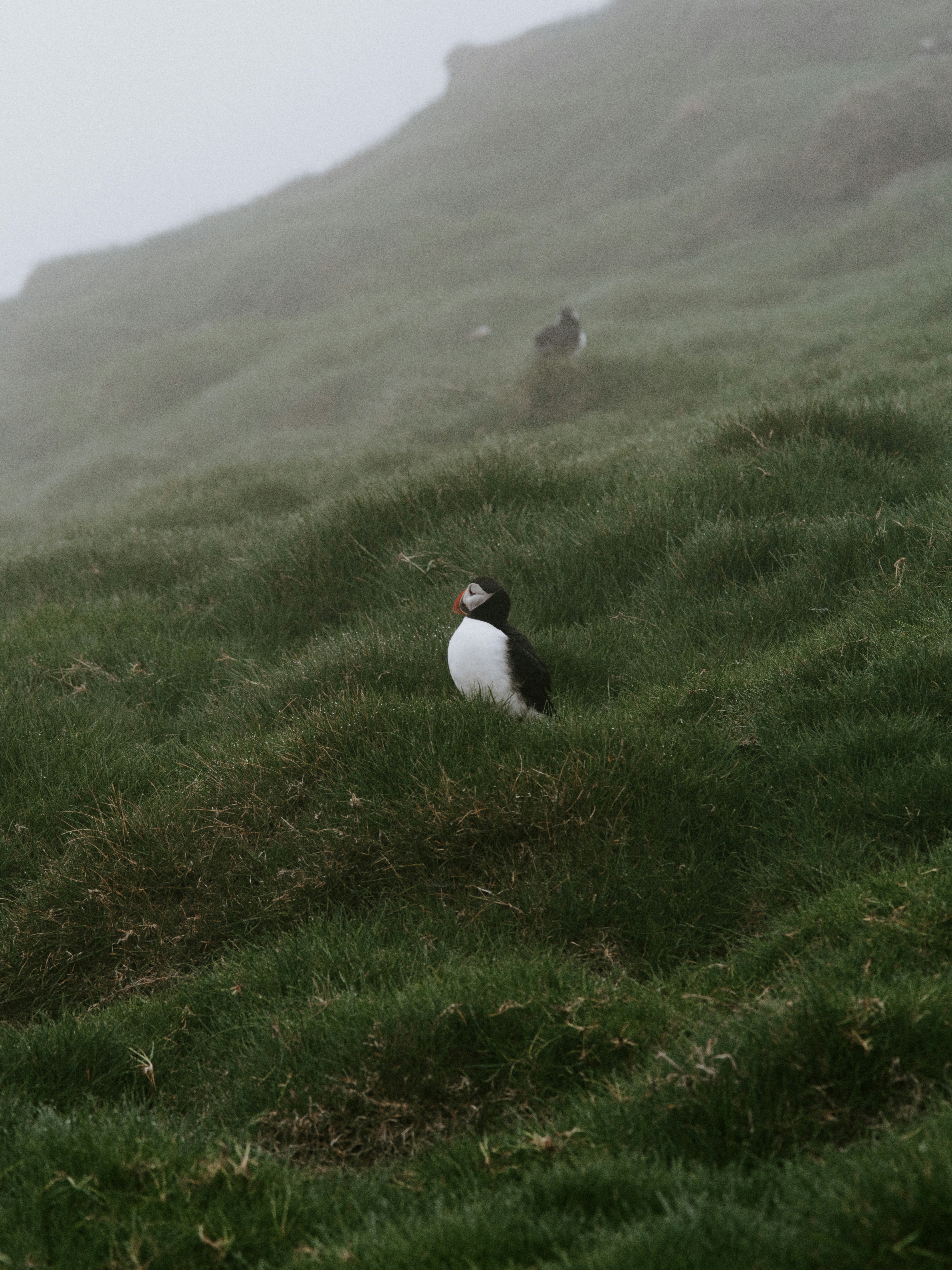 Photo by anniespratt