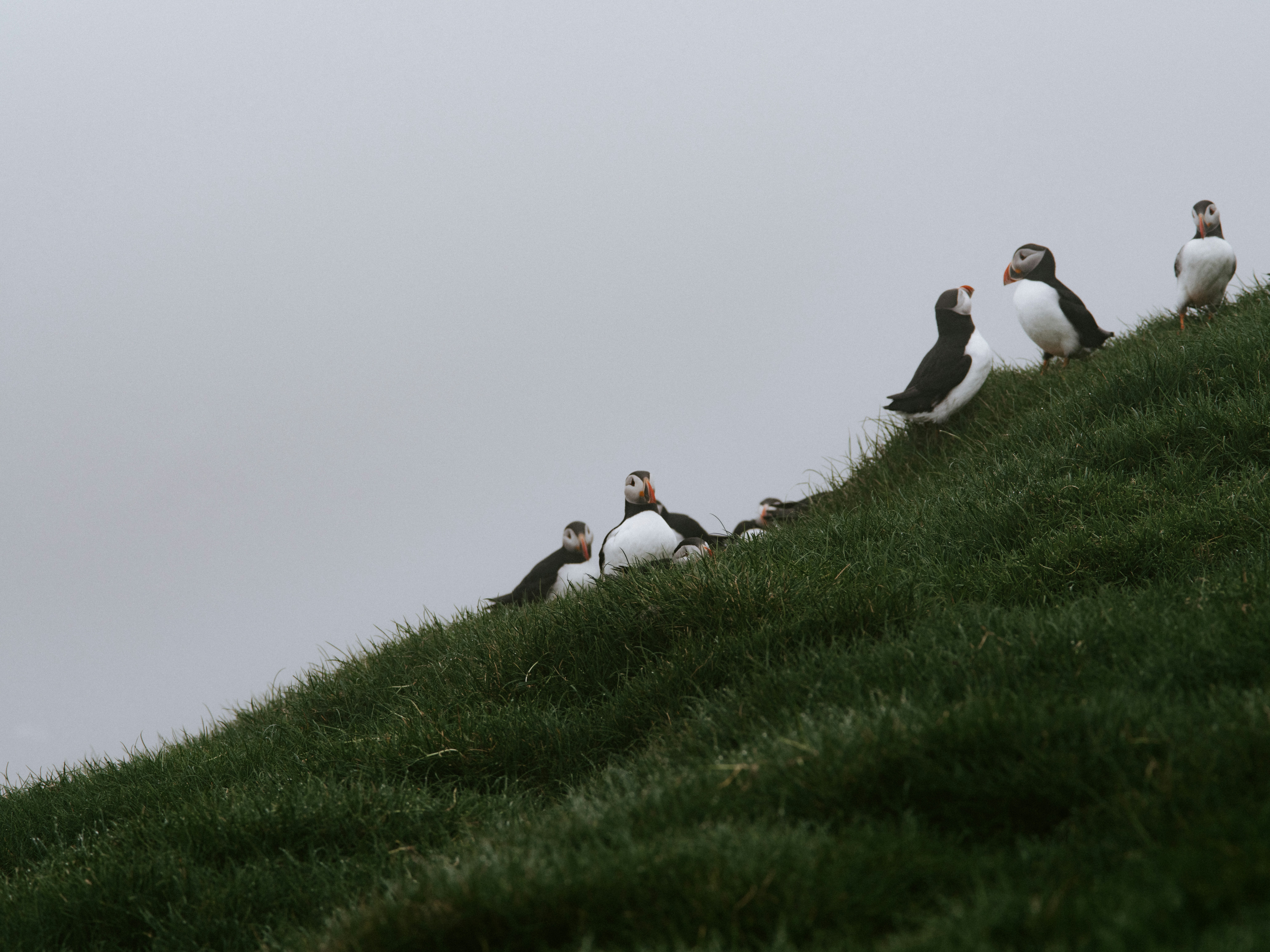 Photo by anniespratt