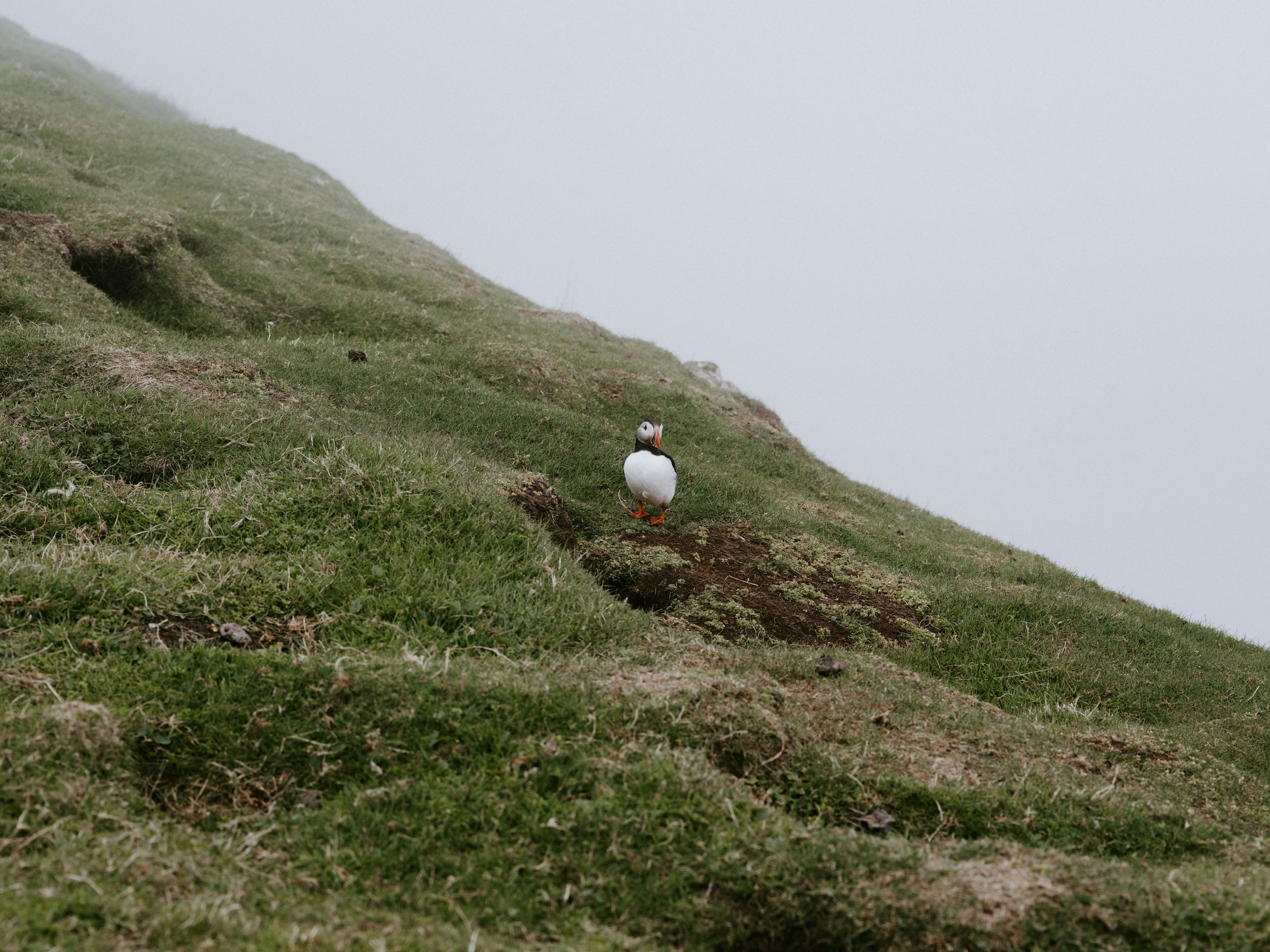 Photo by anniespratt