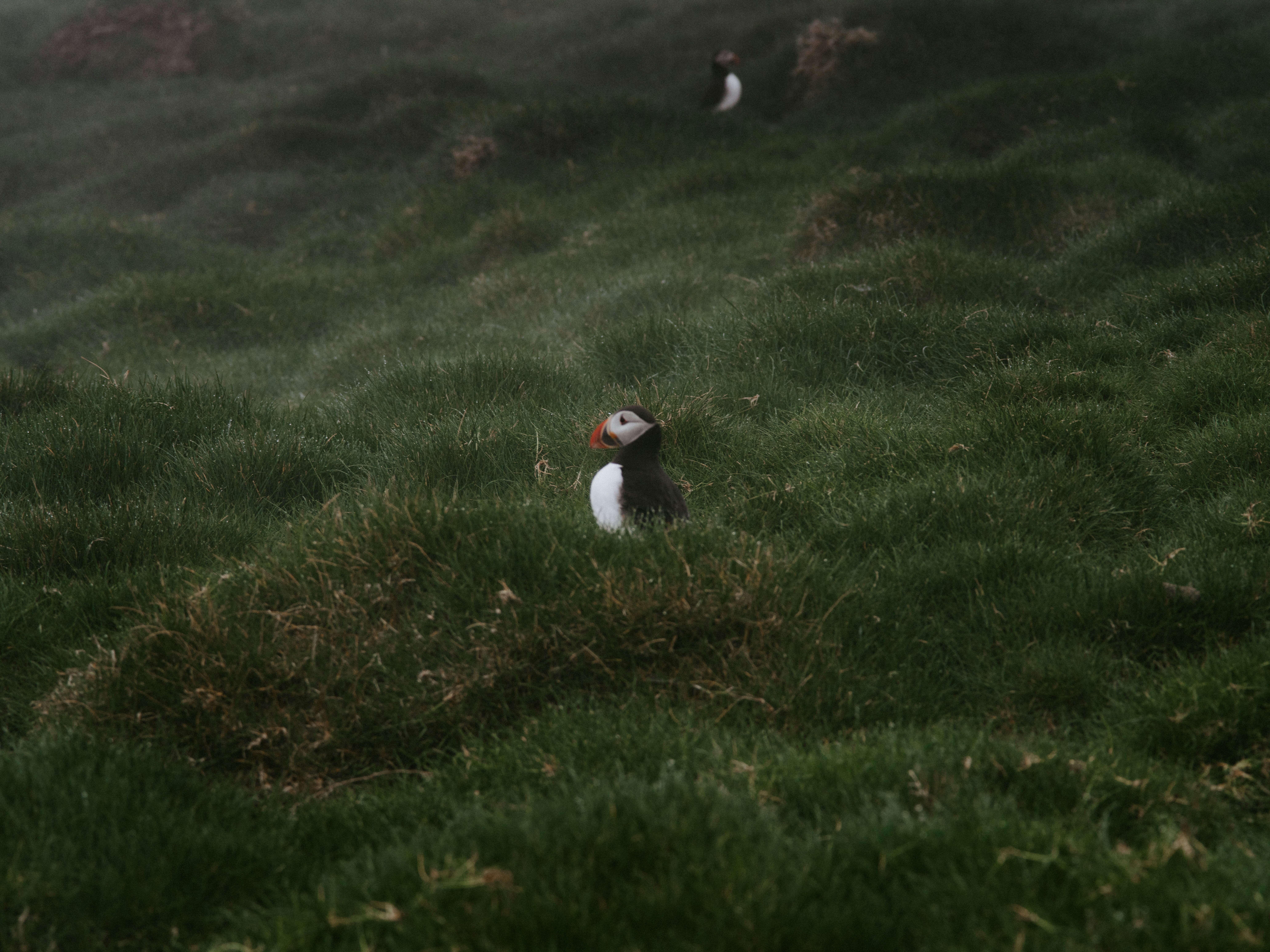 Photo by anniespratt