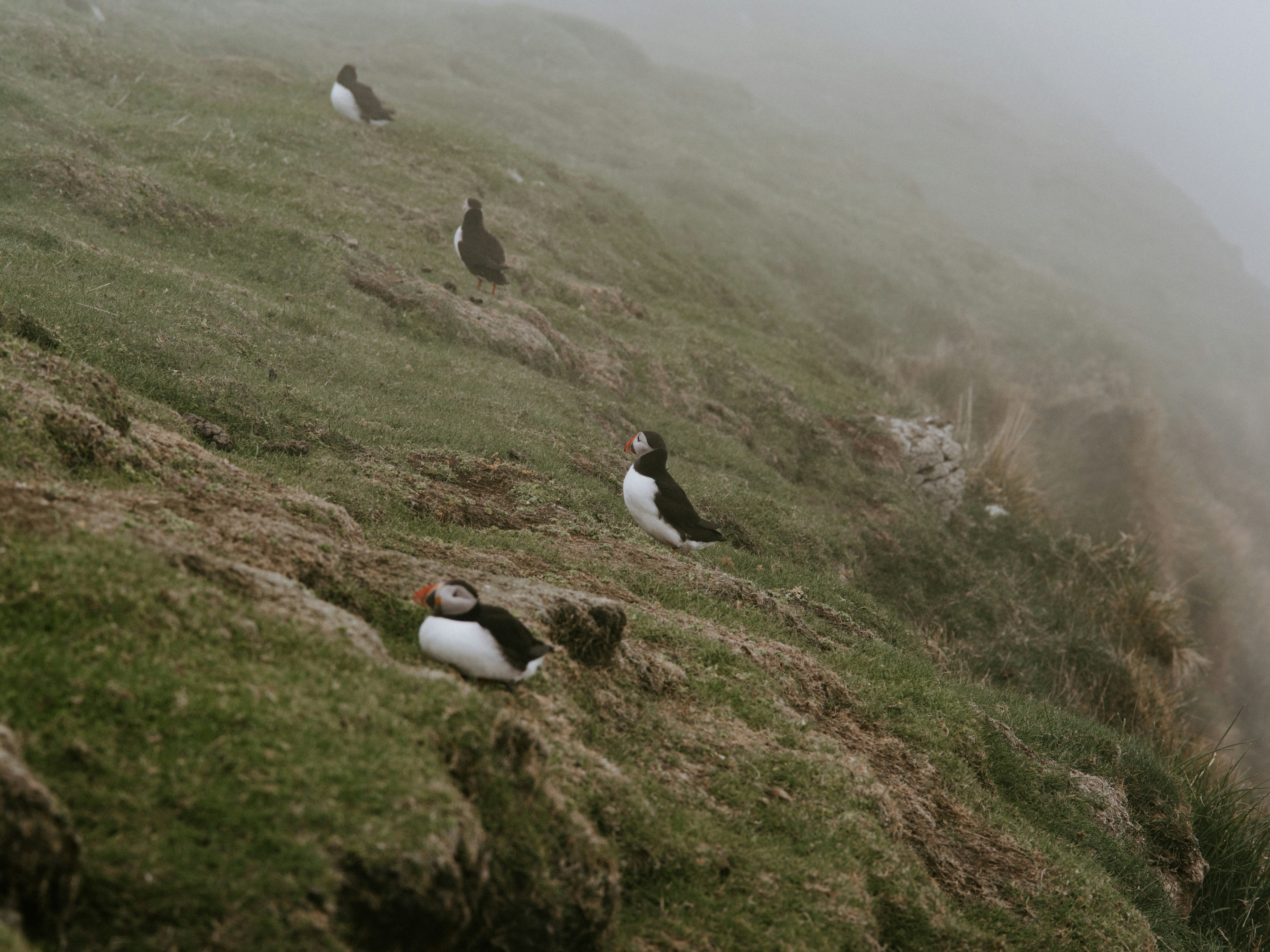 Photo by anniespratt