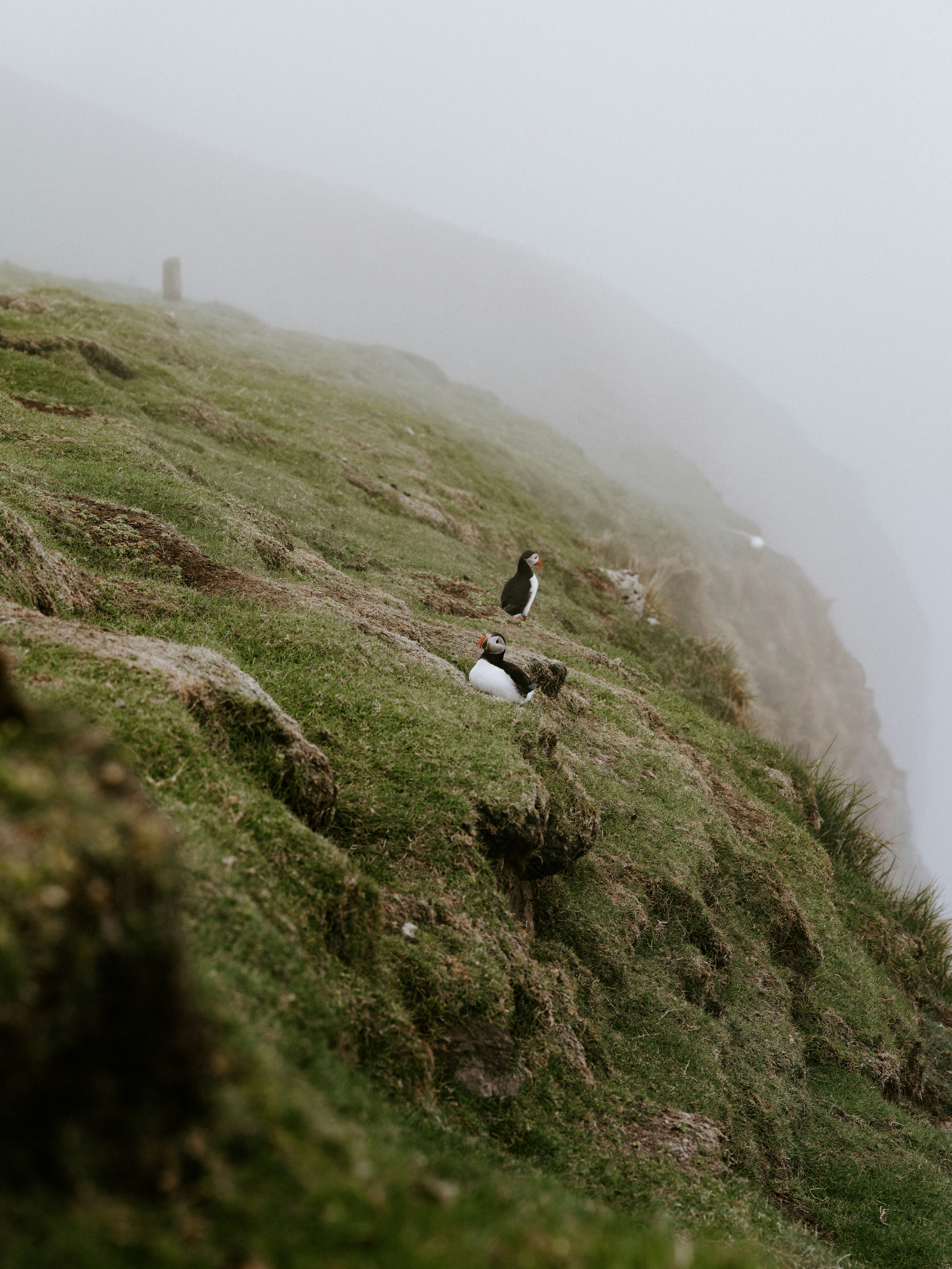 Photo by anniespratt