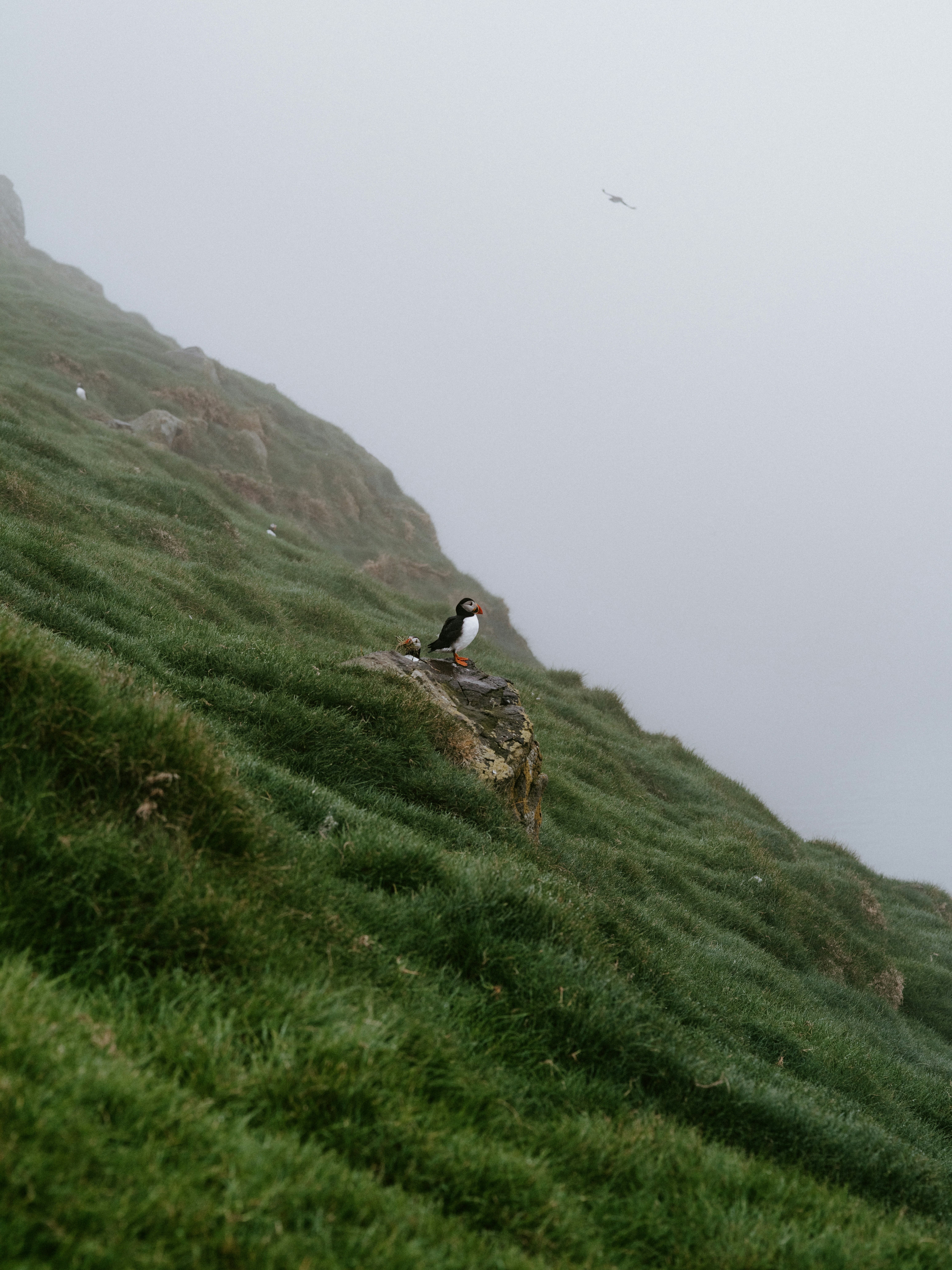 Photo by anniespratt