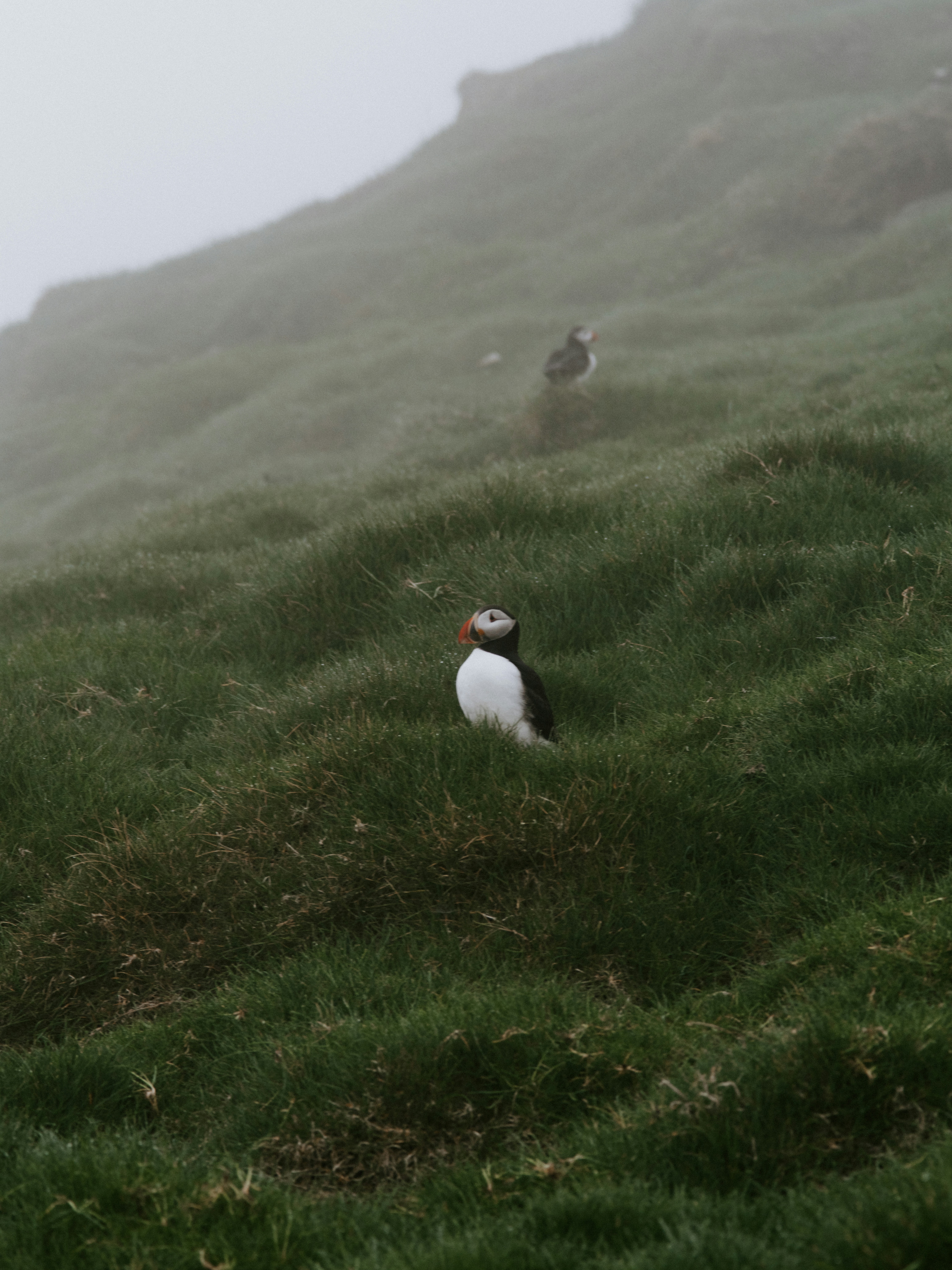 Photo by anniespratt