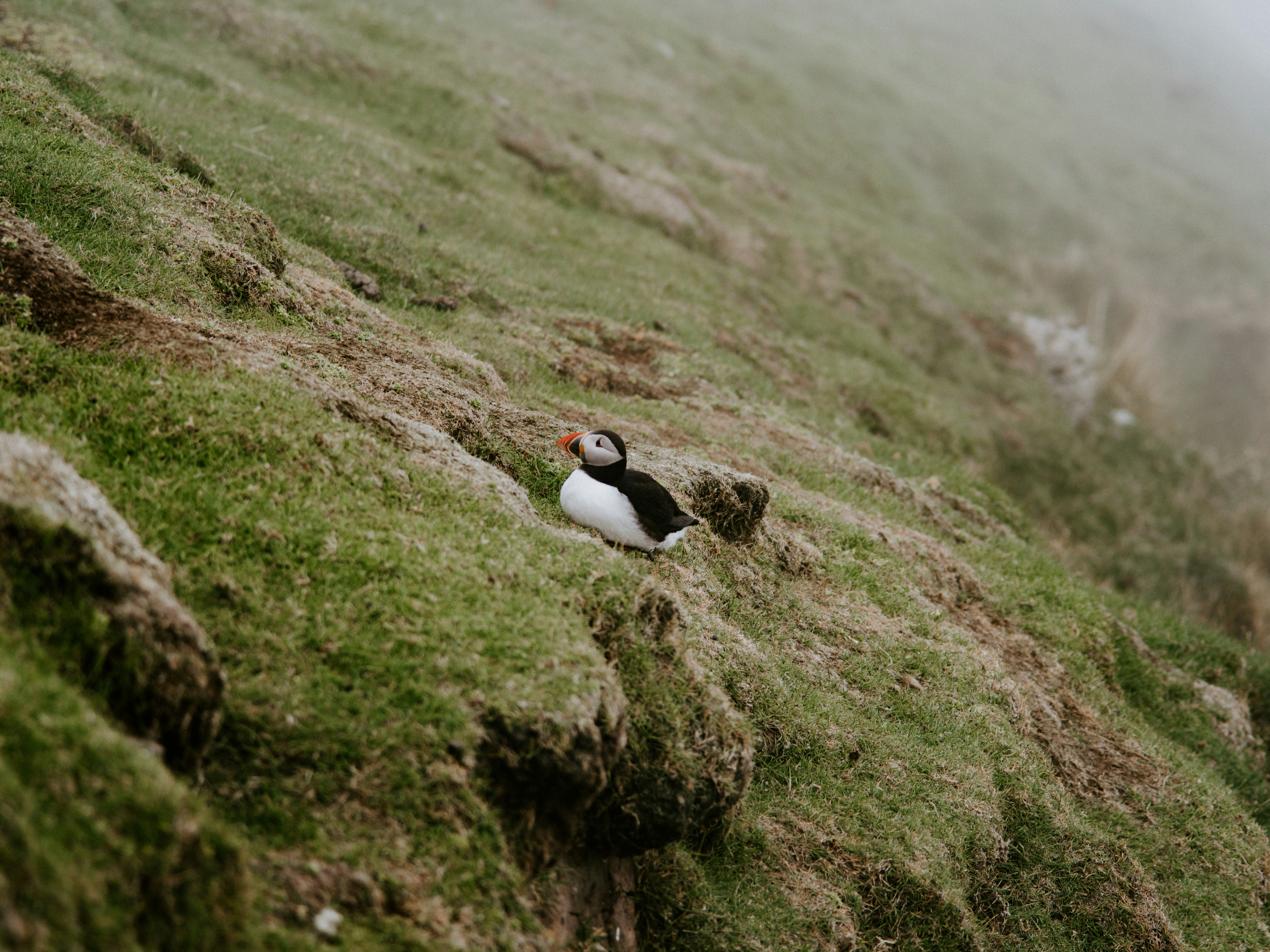 Photo by anniespratt