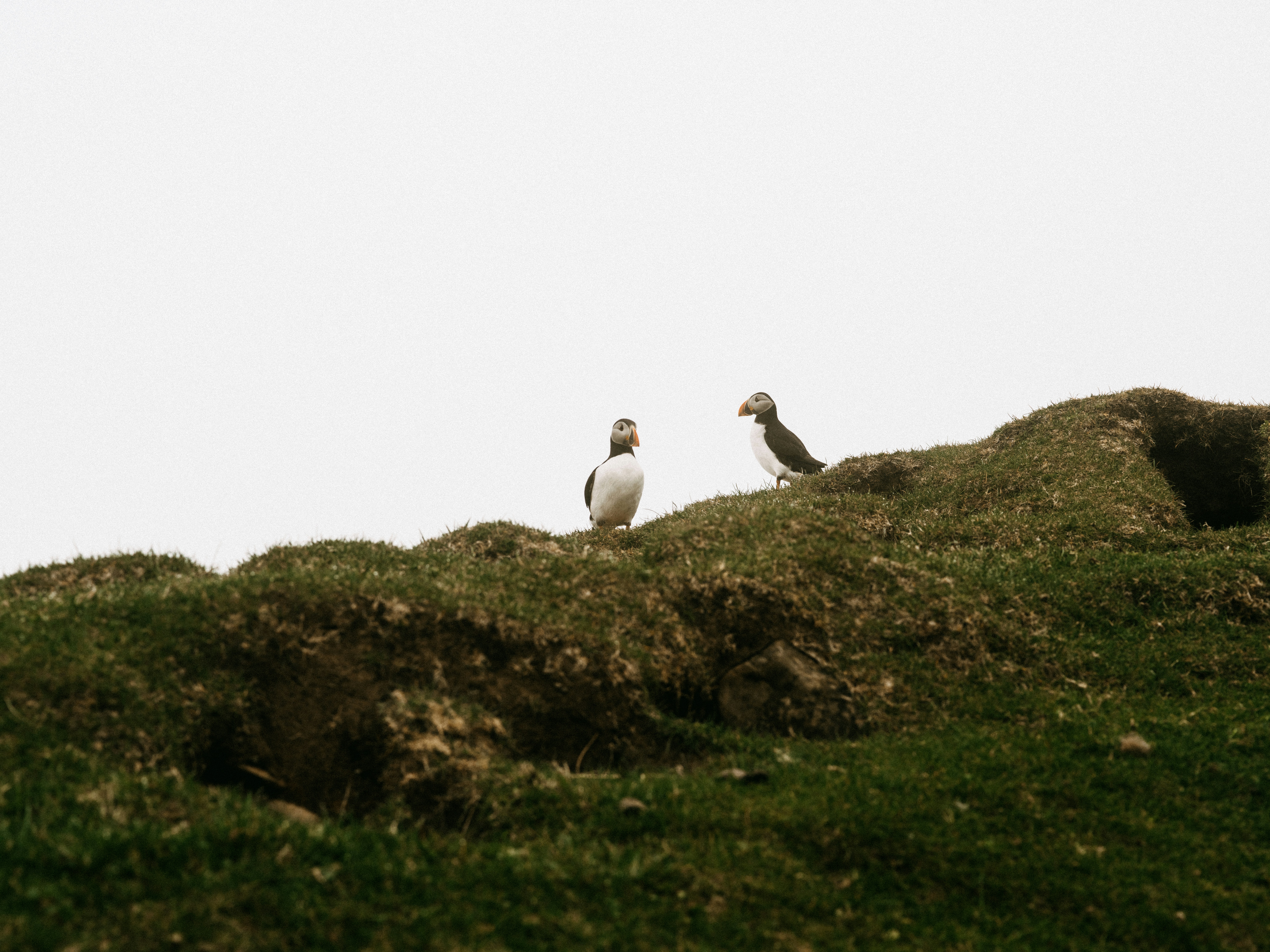 Photo by anniespratt