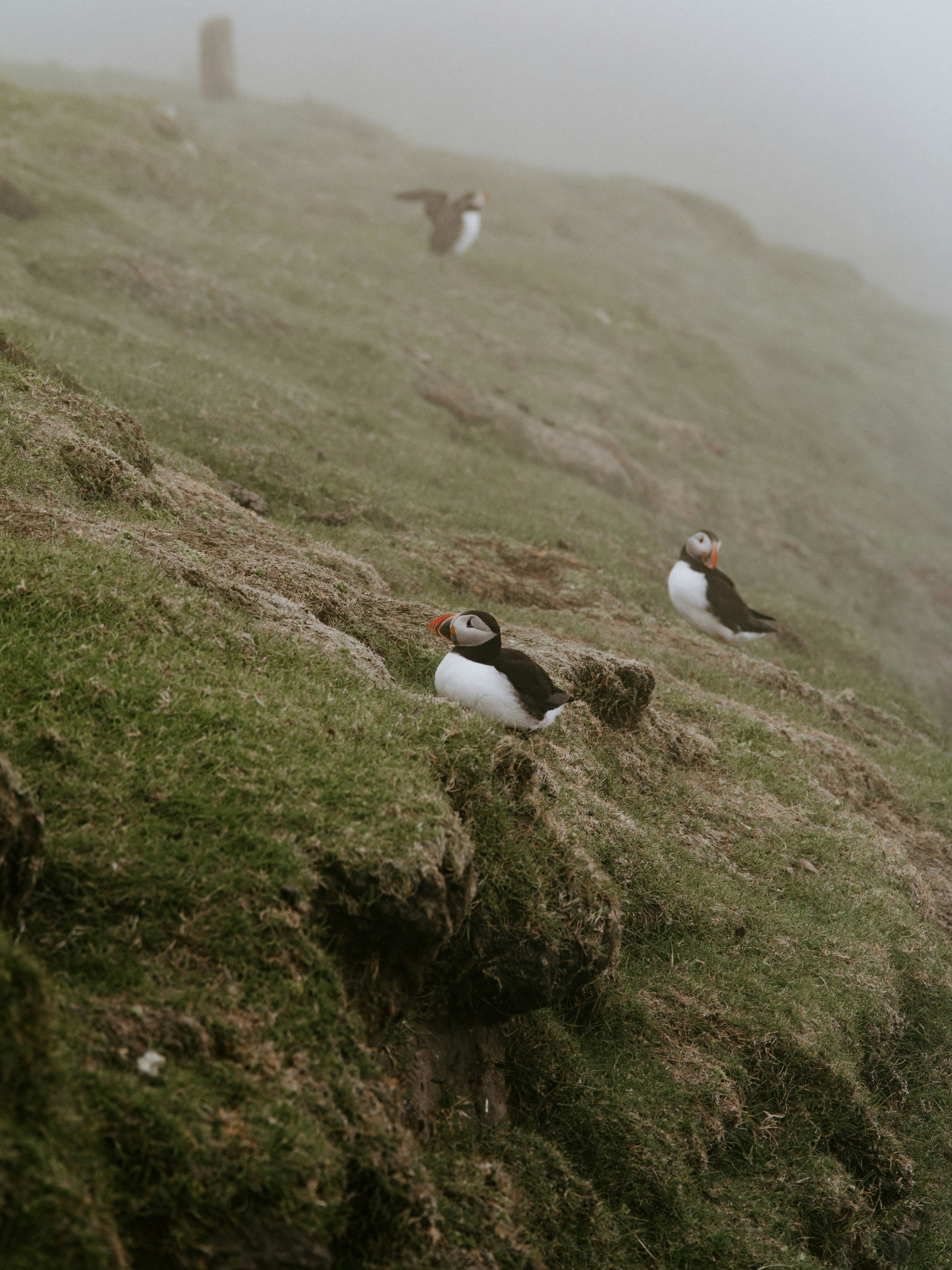 Photo by anniespratt