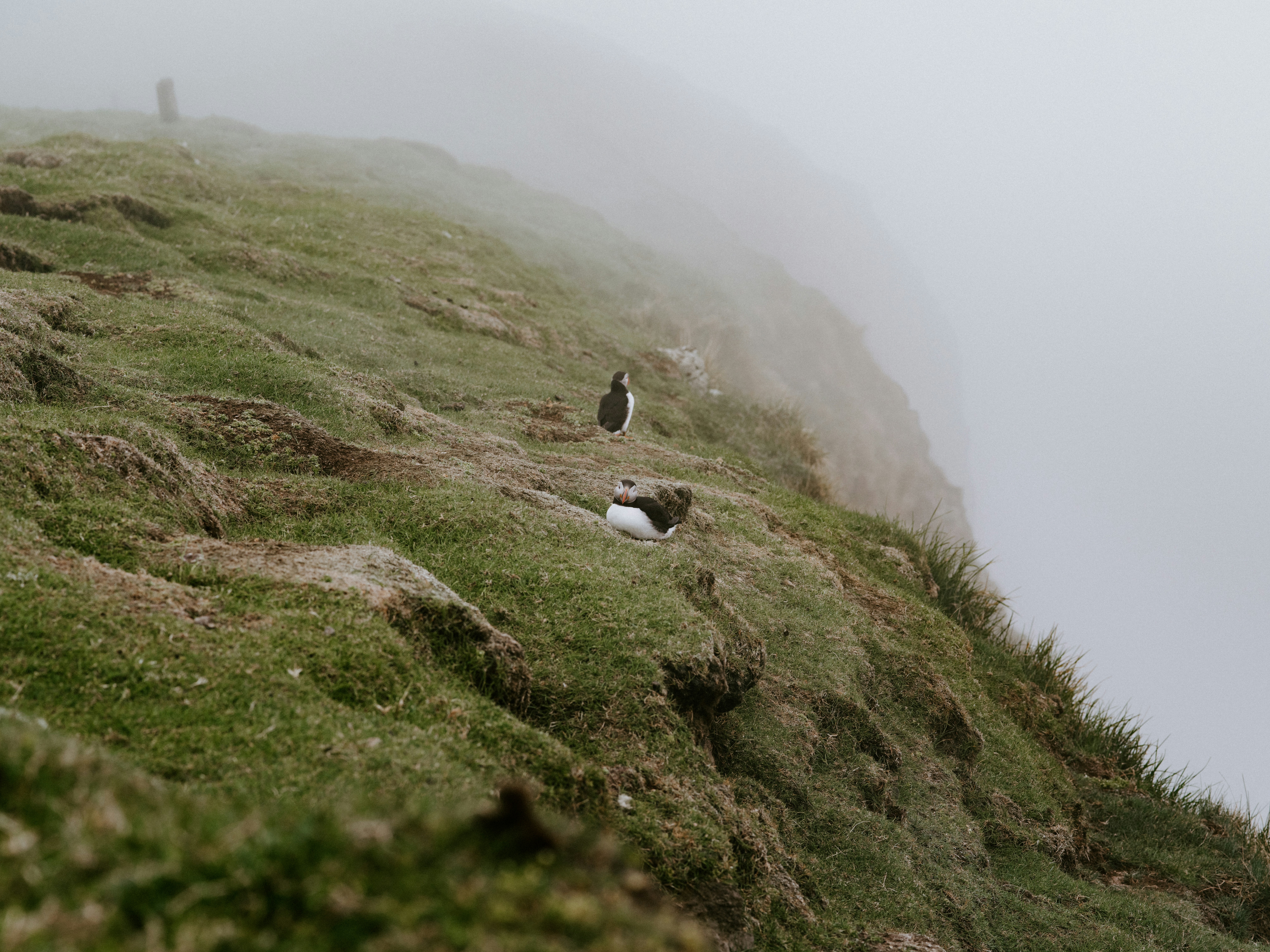 Photo by anniespratt