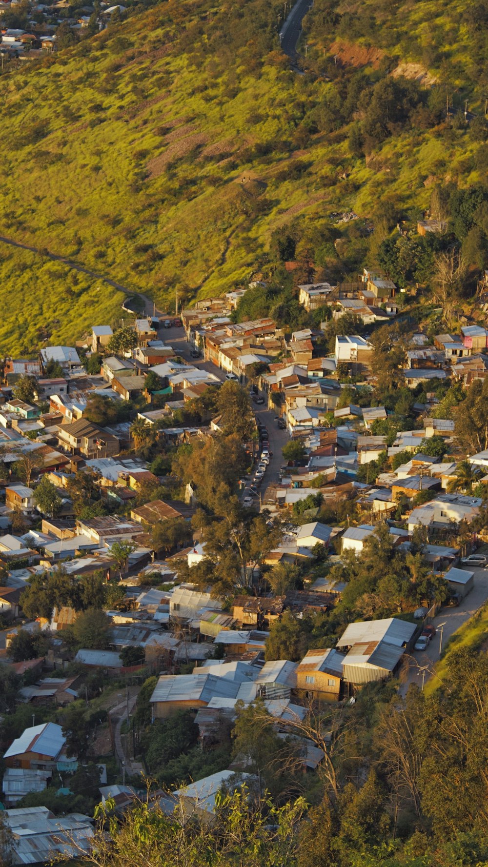 Un pequeño pueblo enclavado en una colina en medio de un bosque