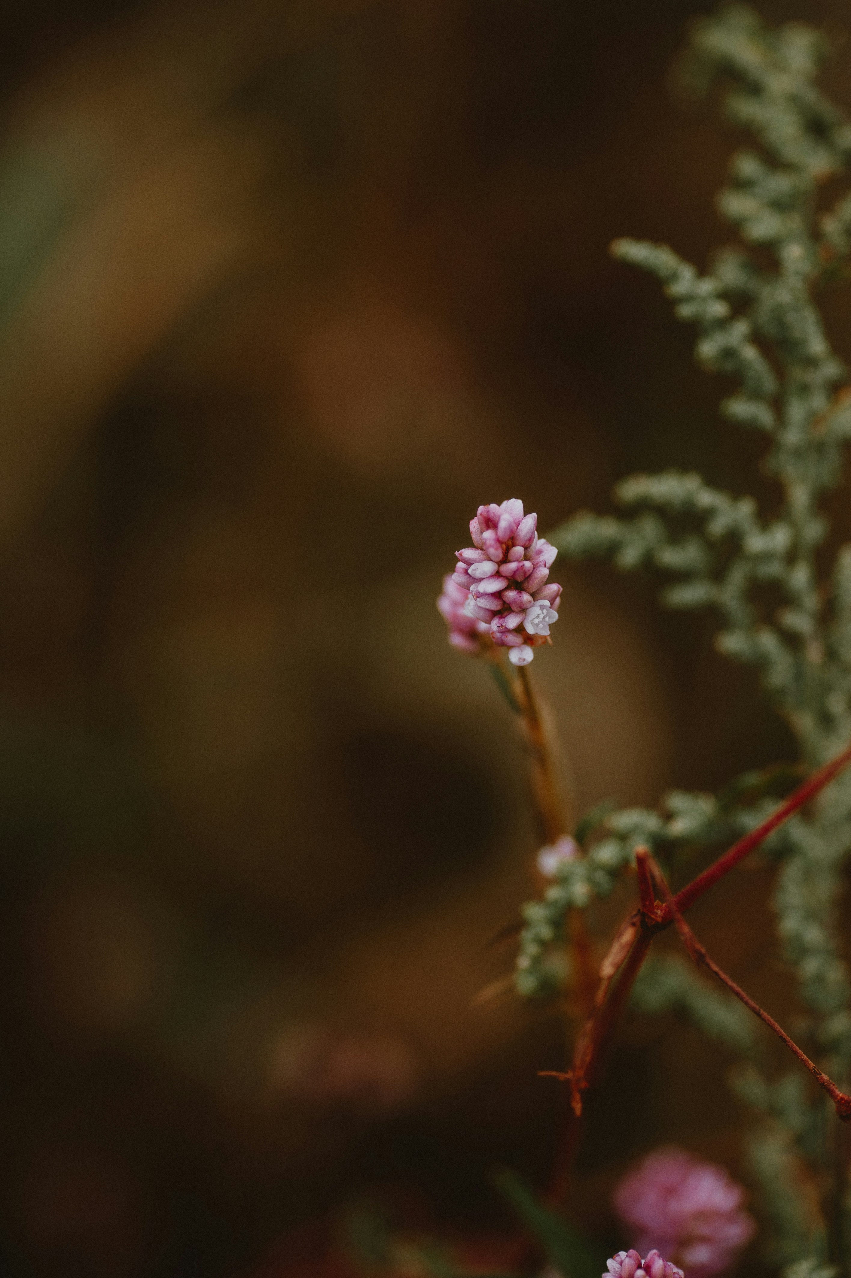 Photo by prairiepilgrim