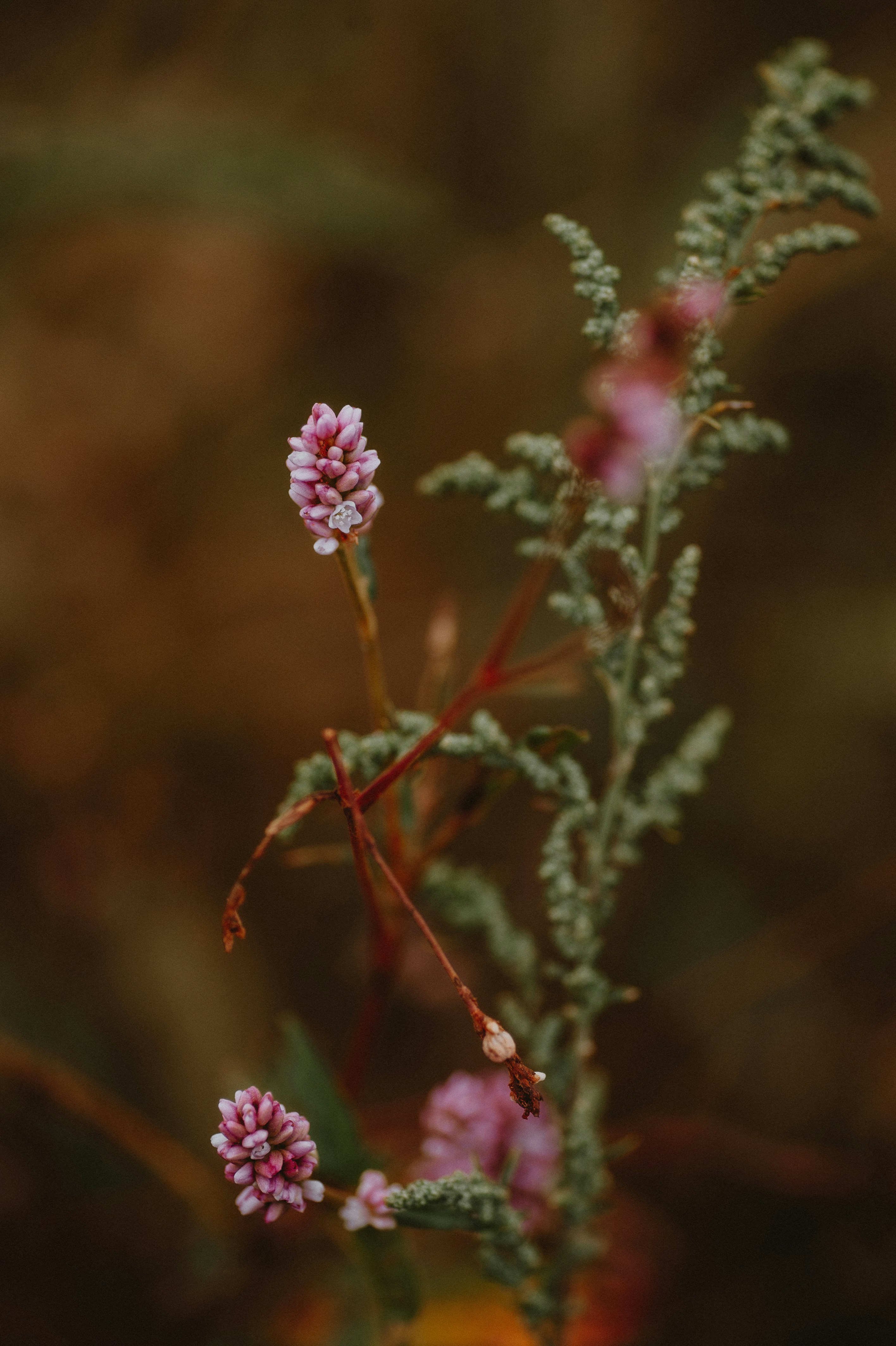 Photo by prairiepilgrim