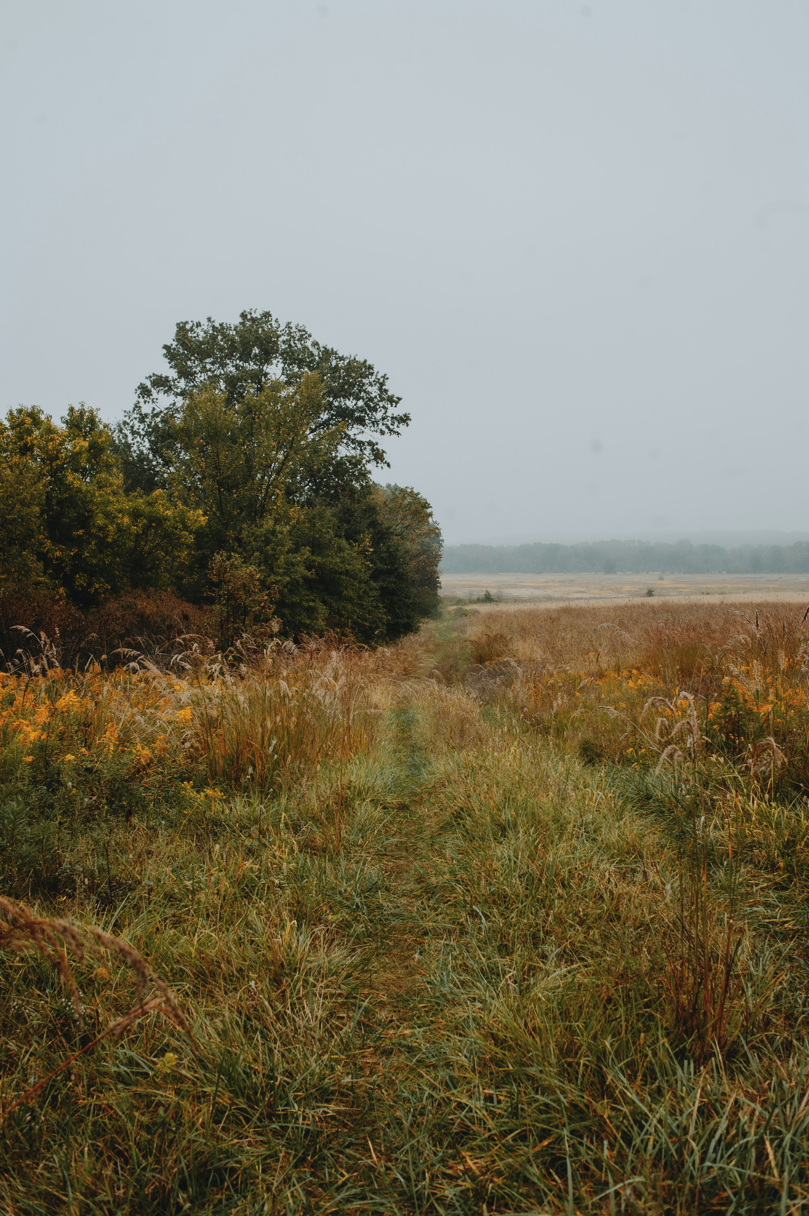 Photo by prairiepilgrim