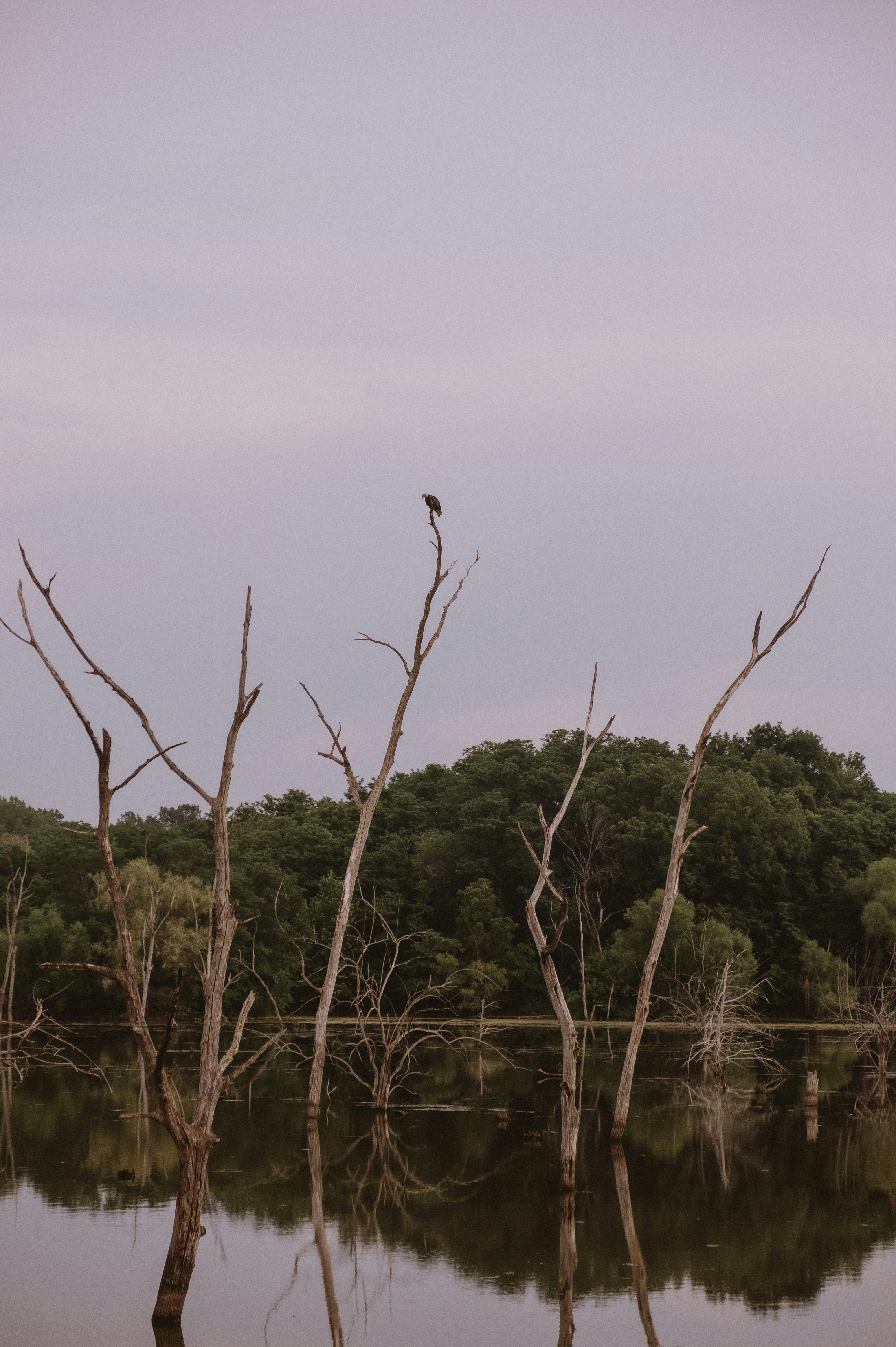 Photo by prairiepilgrim