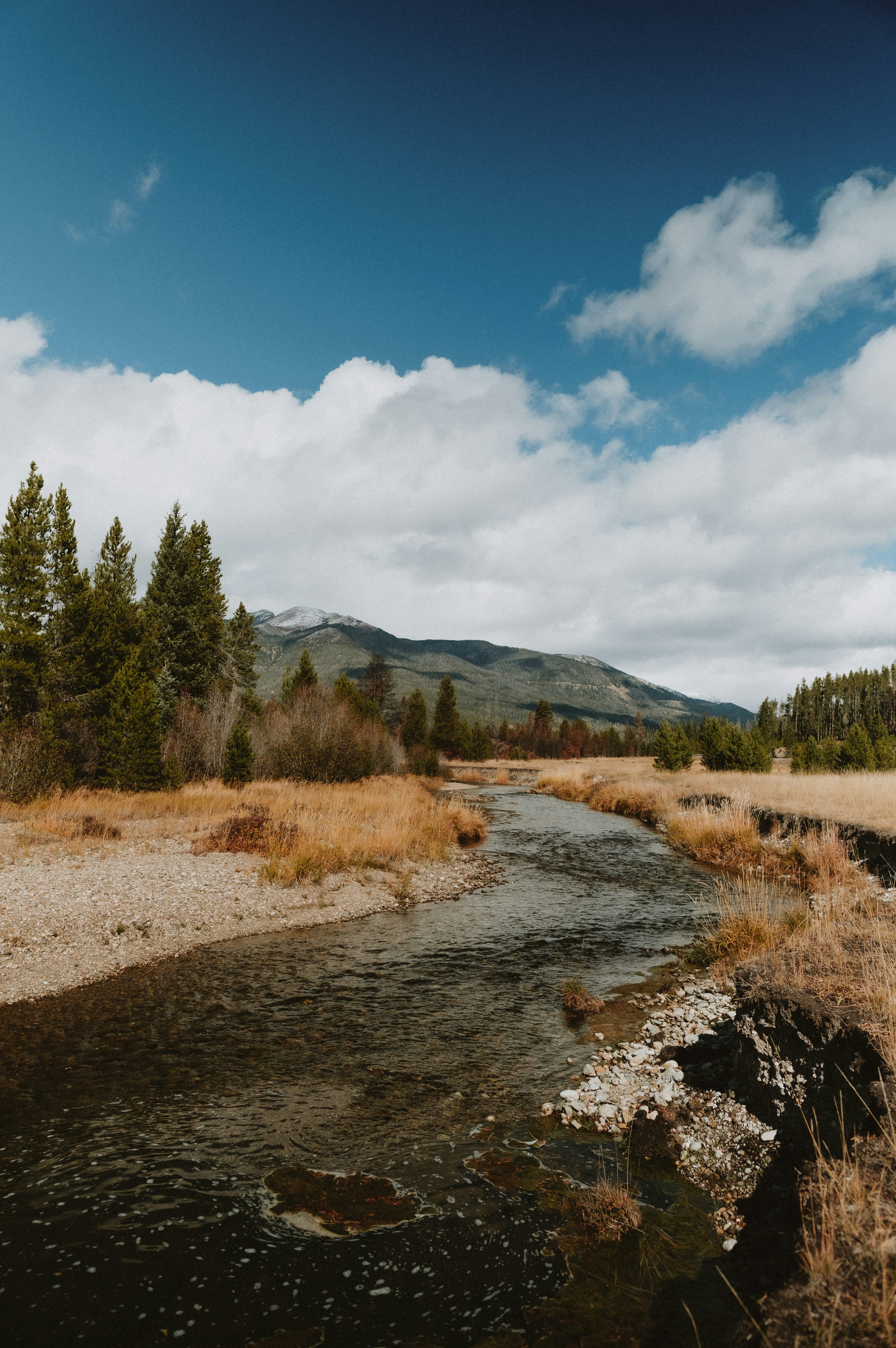 Photo by prairiepilgrim