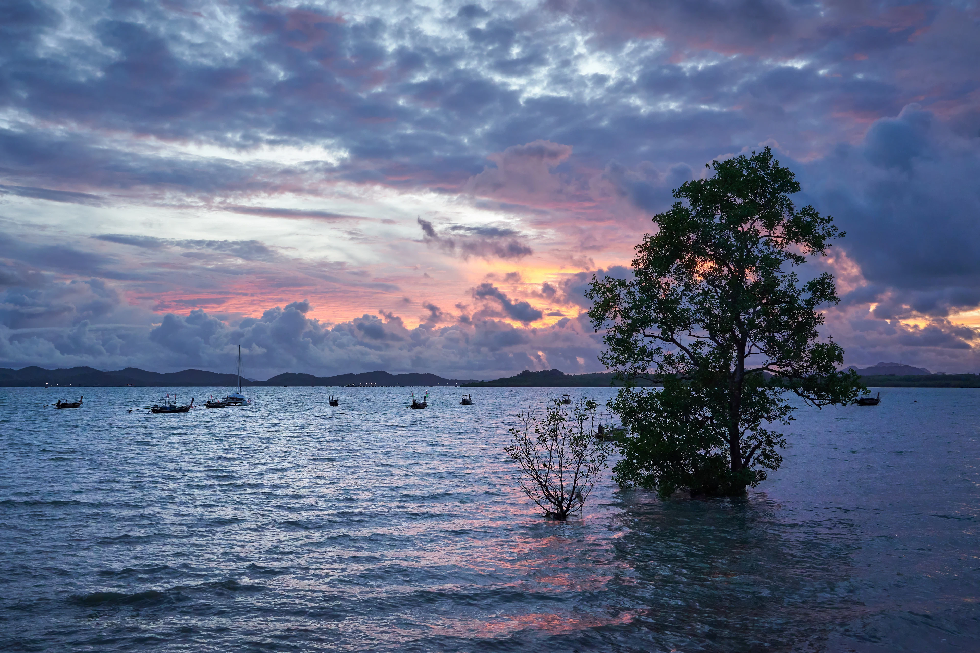 A tree standing in shallow water and fishing boats on a stormy evening off Koh Yao Noi