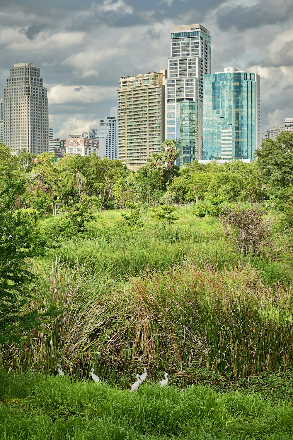 a city skyline with tall buildings in the background