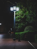 A nighttime scene featuring a modern streetlamp illuminating a paved area. The light reflects off the nearby green bushes and trees, creating a stark contrast between the bright artificial light and the surrounding darkness. The pavement has a tiled pattern, and a person can be seen walking in the background.