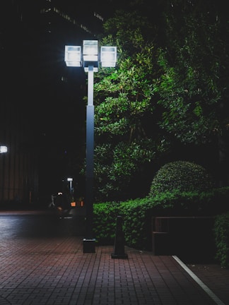 A nighttime scene featuring a modern streetlamp illuminating a paved area. The light reflects off the nearby green bushes and trees, creating a stark contrast between the bright artificial light and the surrounding darkness. The pavement has a tiled pattern, and a person can be seen walking in the background.