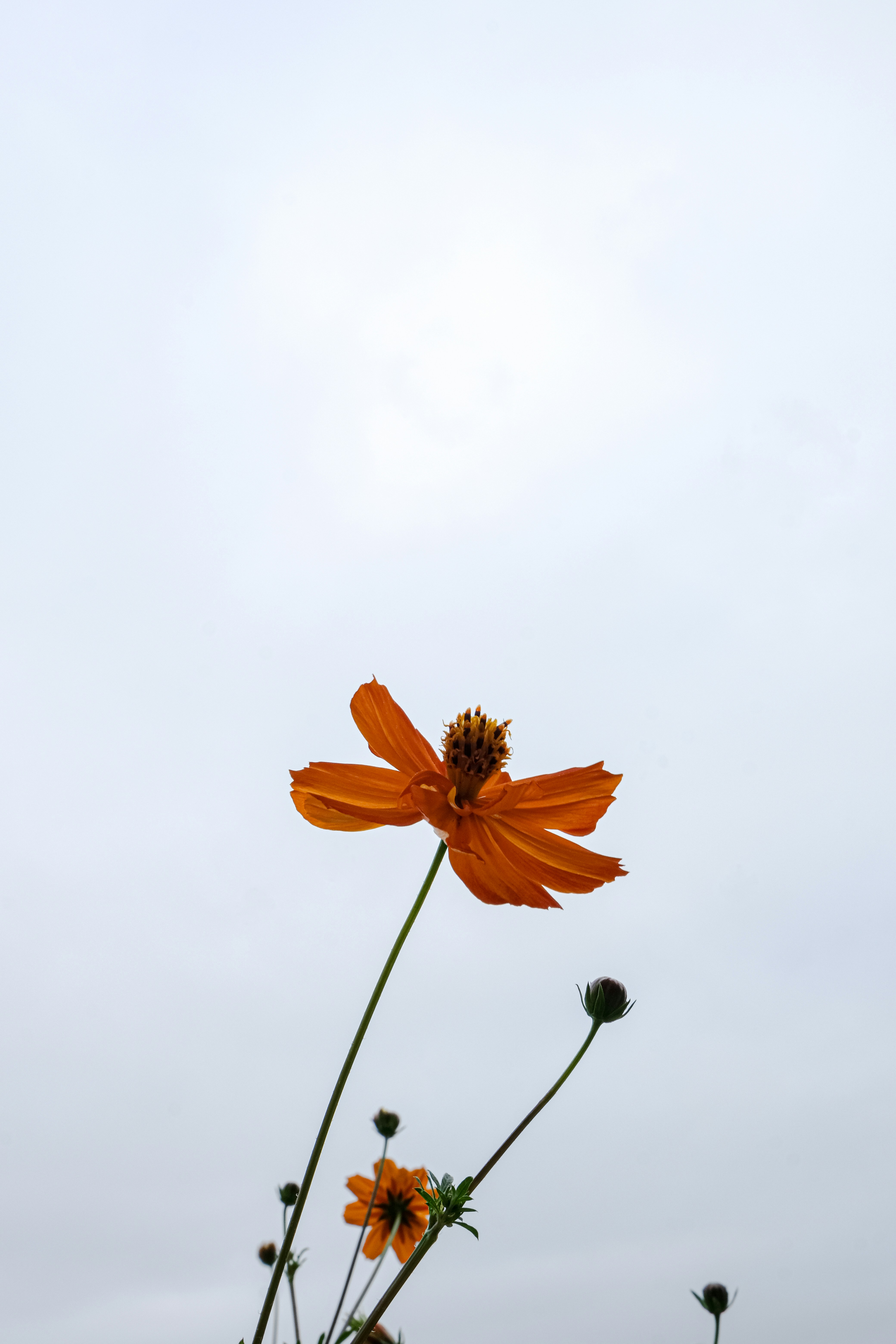 Photo by cestmoisheedy