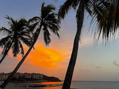 Evening sunset over beachfront apartments and palm trees