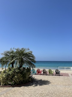 A serene beachfront scene with five colorful chairs facing the ocean. The chairs, in shades of blue, red, green, yellow, and black, are neatly arranged on a paved area adjacent to the beach. A lush palm tree and various shrubs are positioned to the left, providing a touch of tropical greenery. The ocean is calm, with gentle waves lapping against the shore, under a clear blue sky.