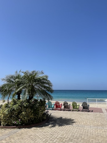 A serene beachfront scene with five colorful chairs facing the ocean. The chairs, in shades of blue, red, green, yellow, and black, are neatly arranged on a paved area adjacent to the beach. A lush palm tree and various shrubs are positioned to the left, providing a touch of tropical greenery. The ocean is calm, with gentle waves lapping against the shore, under a clear blue sky.