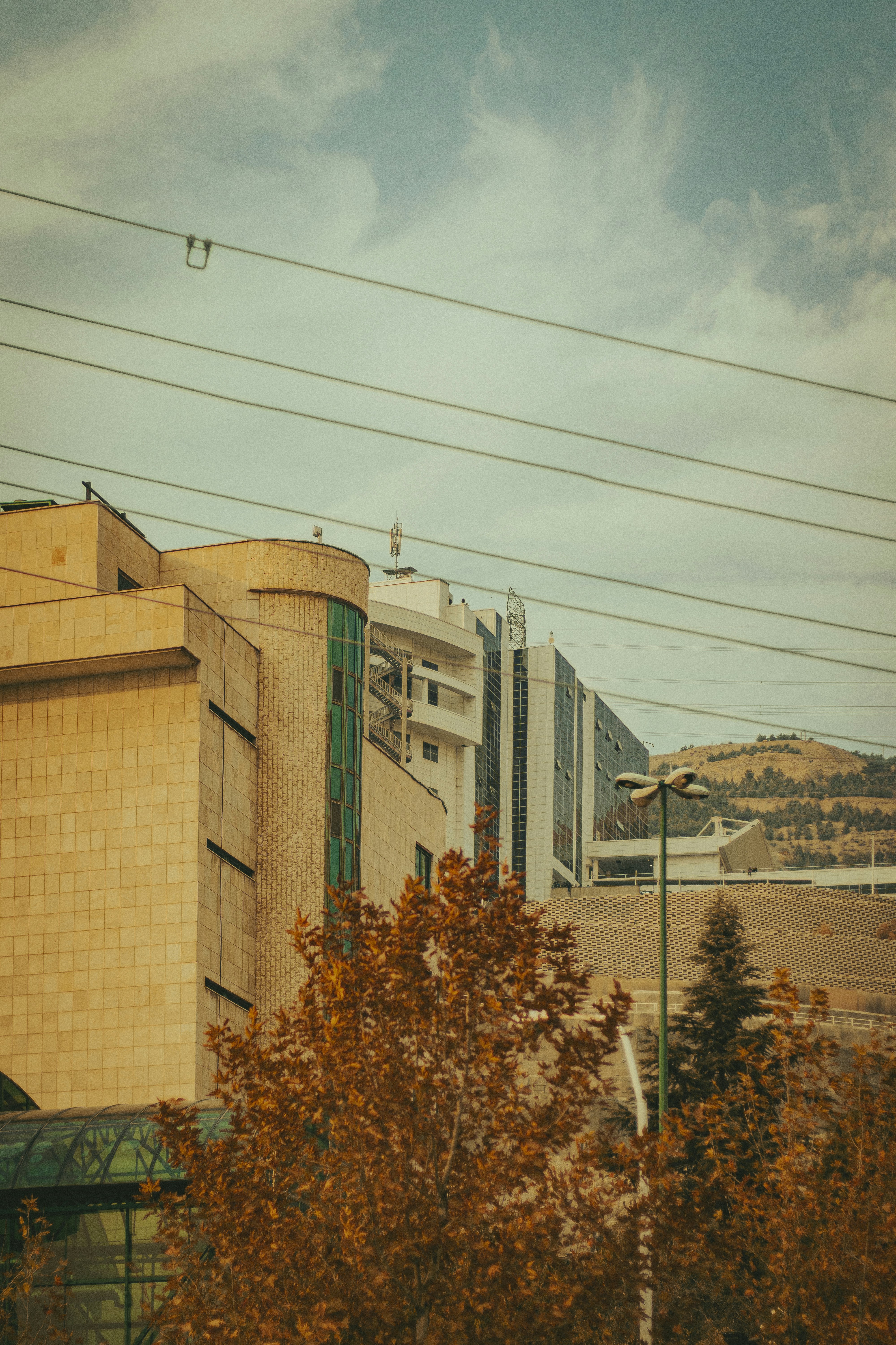 Islamic Azad University, Science and Research Branch, Tehran in fall , Canon EOS 850 d 50mm