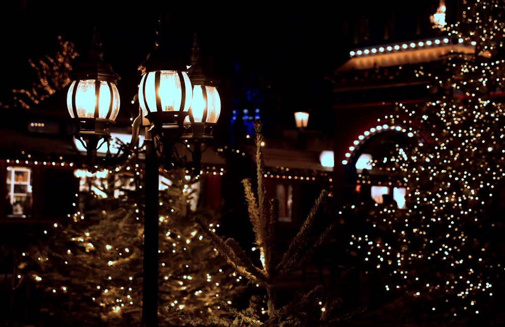 a lit up christmas tree in front of a building