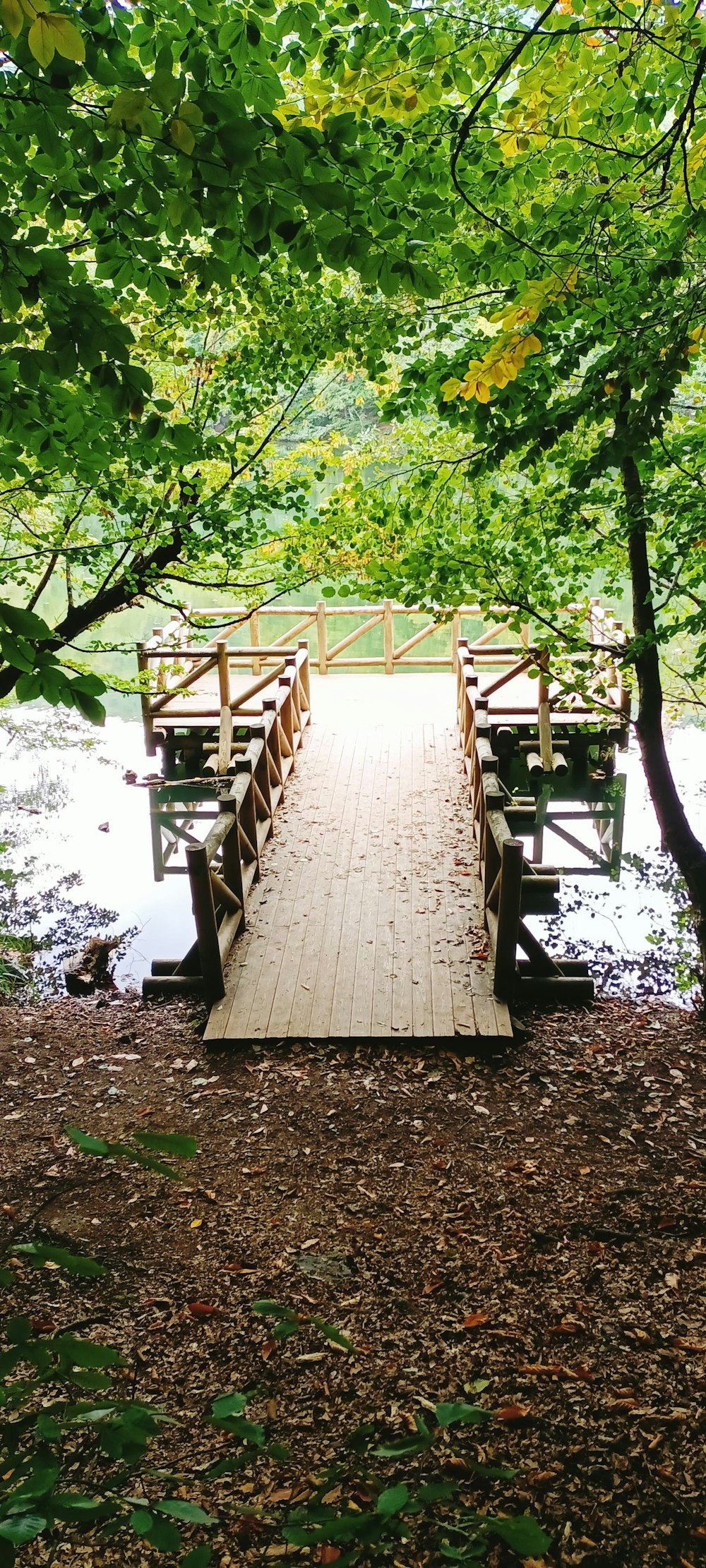 a wooden bridge over a river surrounded by trees