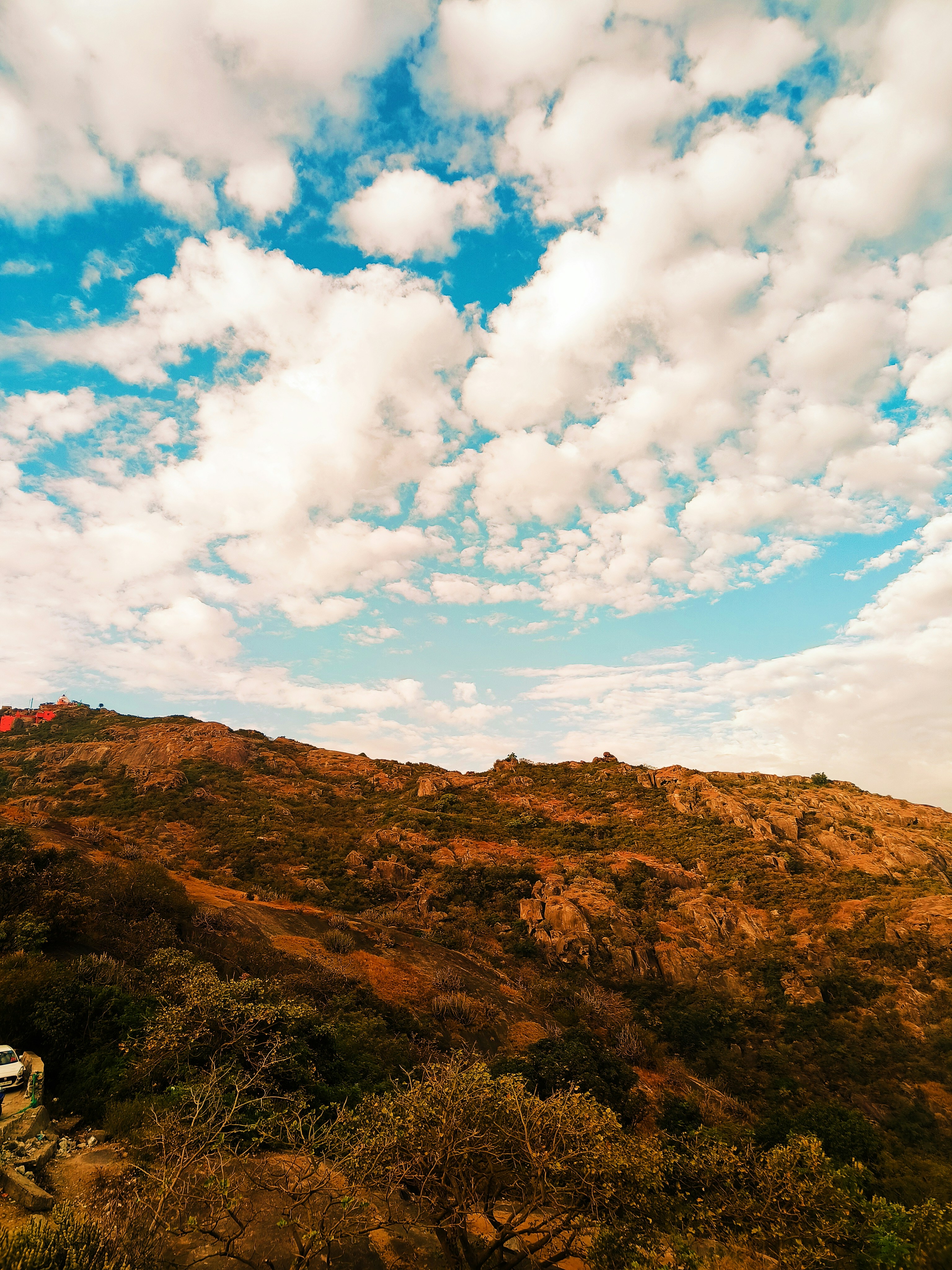 Photo by lifetouch_photography