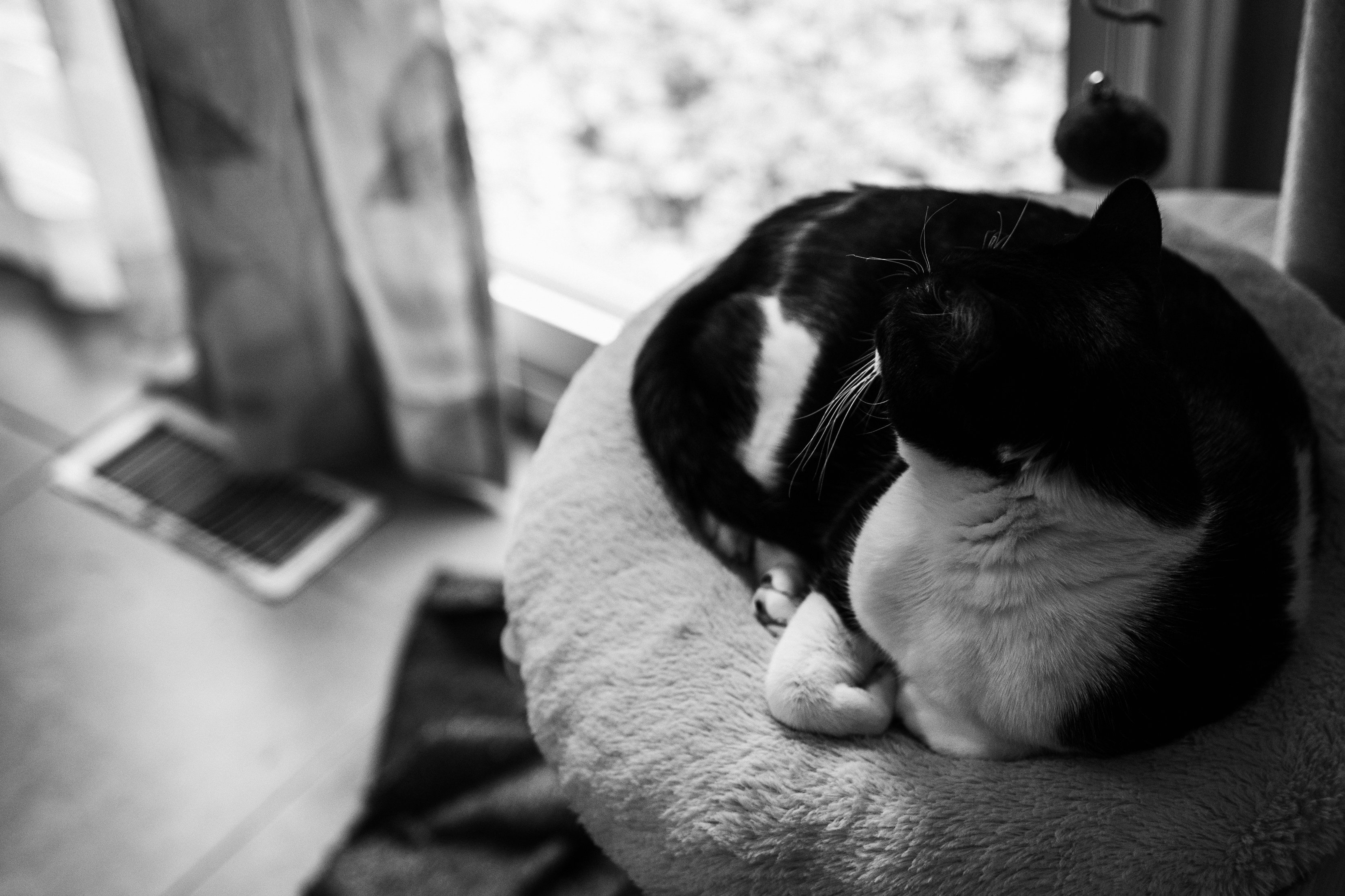 Photo by francesfrehaphotography