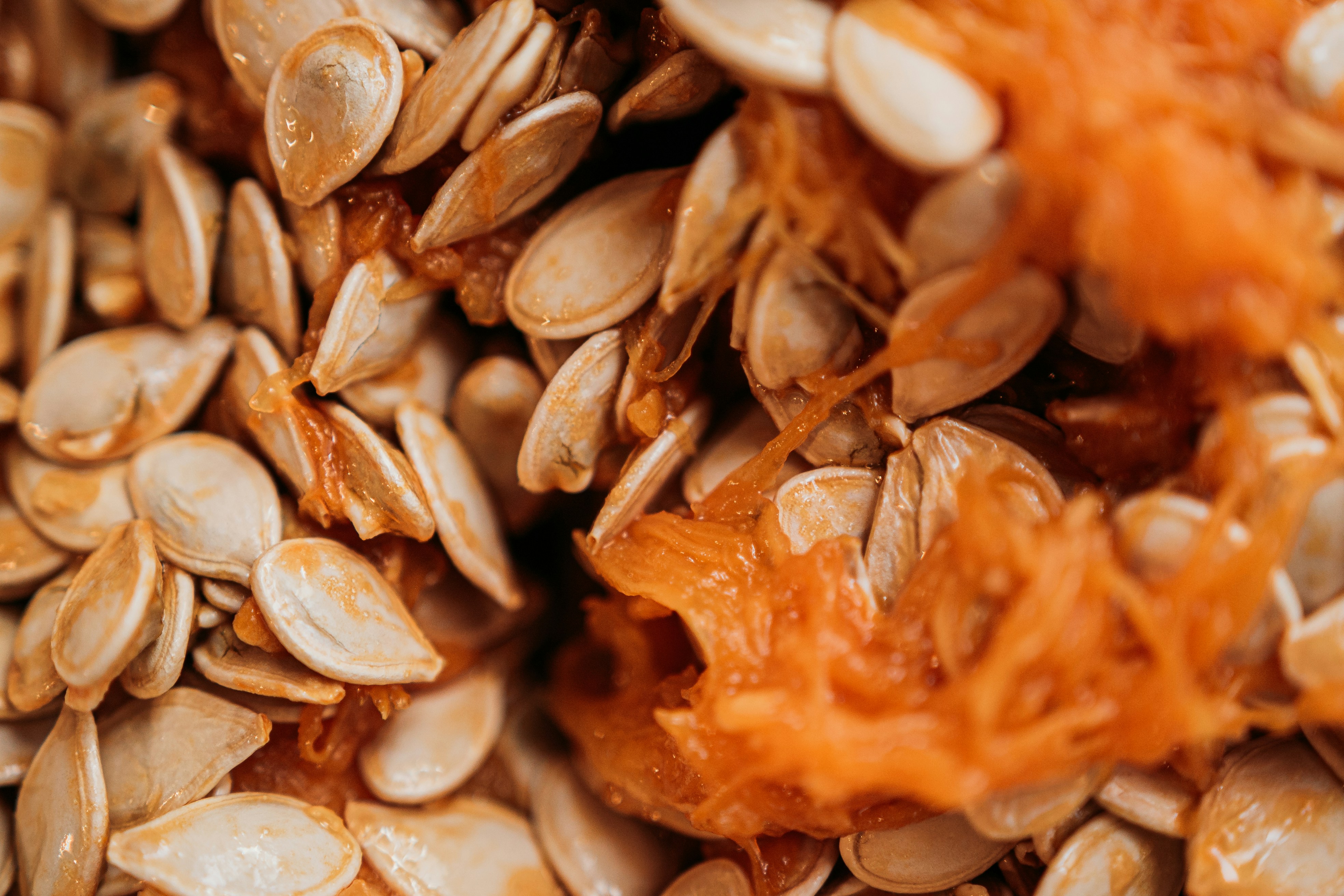 Photo by francesfrehaphotography