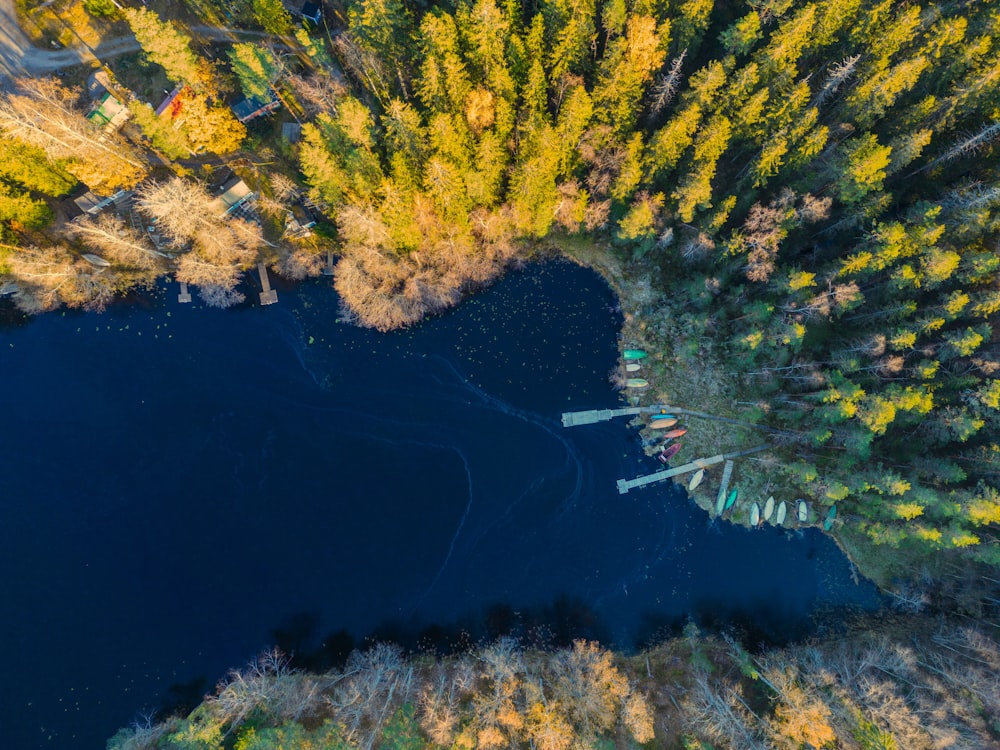 an aerial view of a lake surrounded by trees