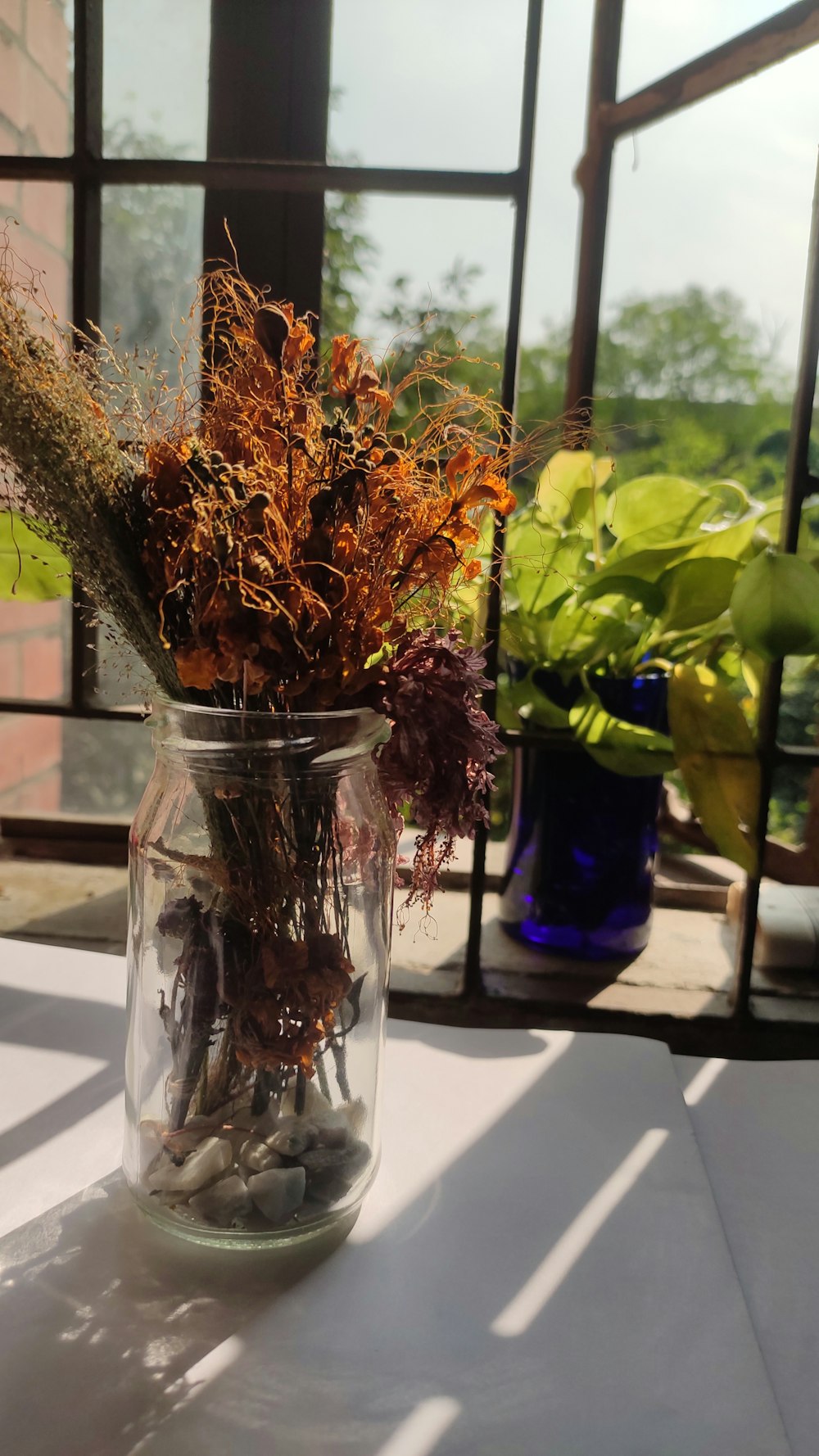 a glass jar filled with plants on top of a table