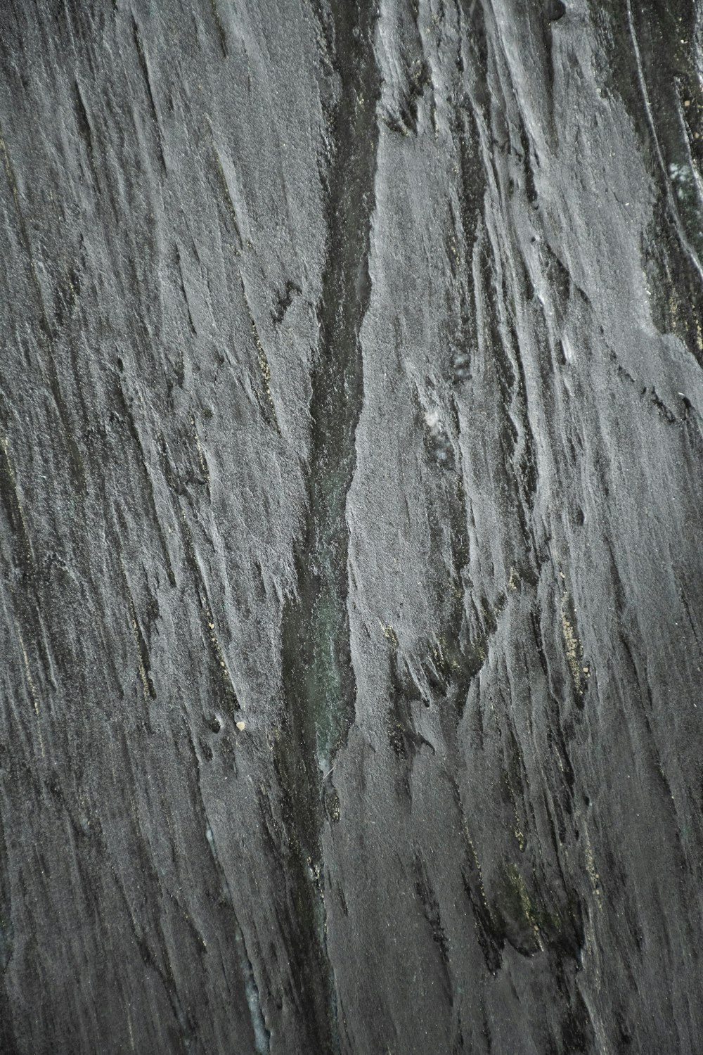 a black and white photo of a rock face